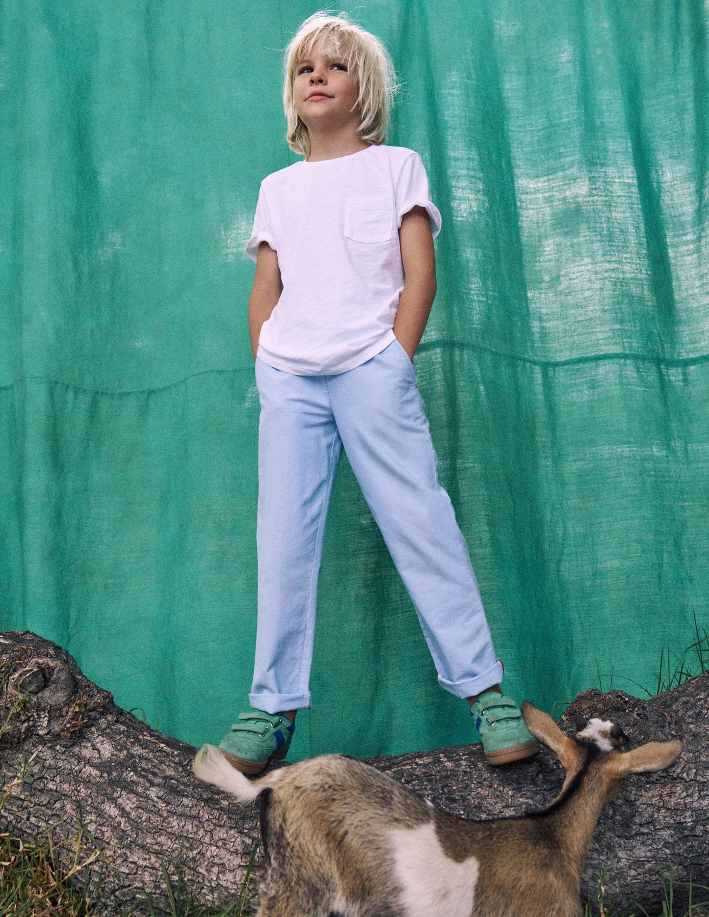 Classic Chinos-Blue Oxford