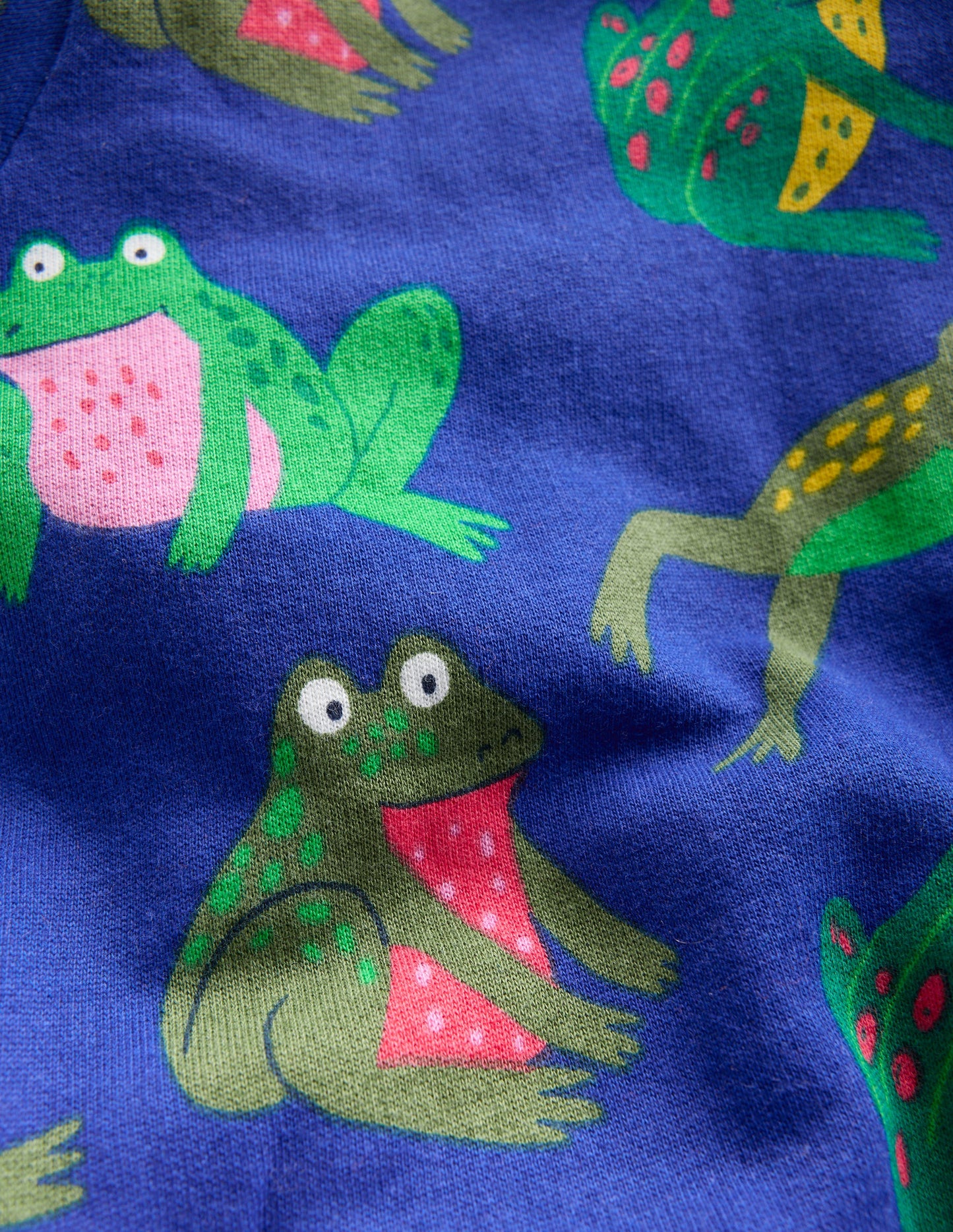 Everyday Printed Sweatshirt-Bright Blue Frogs