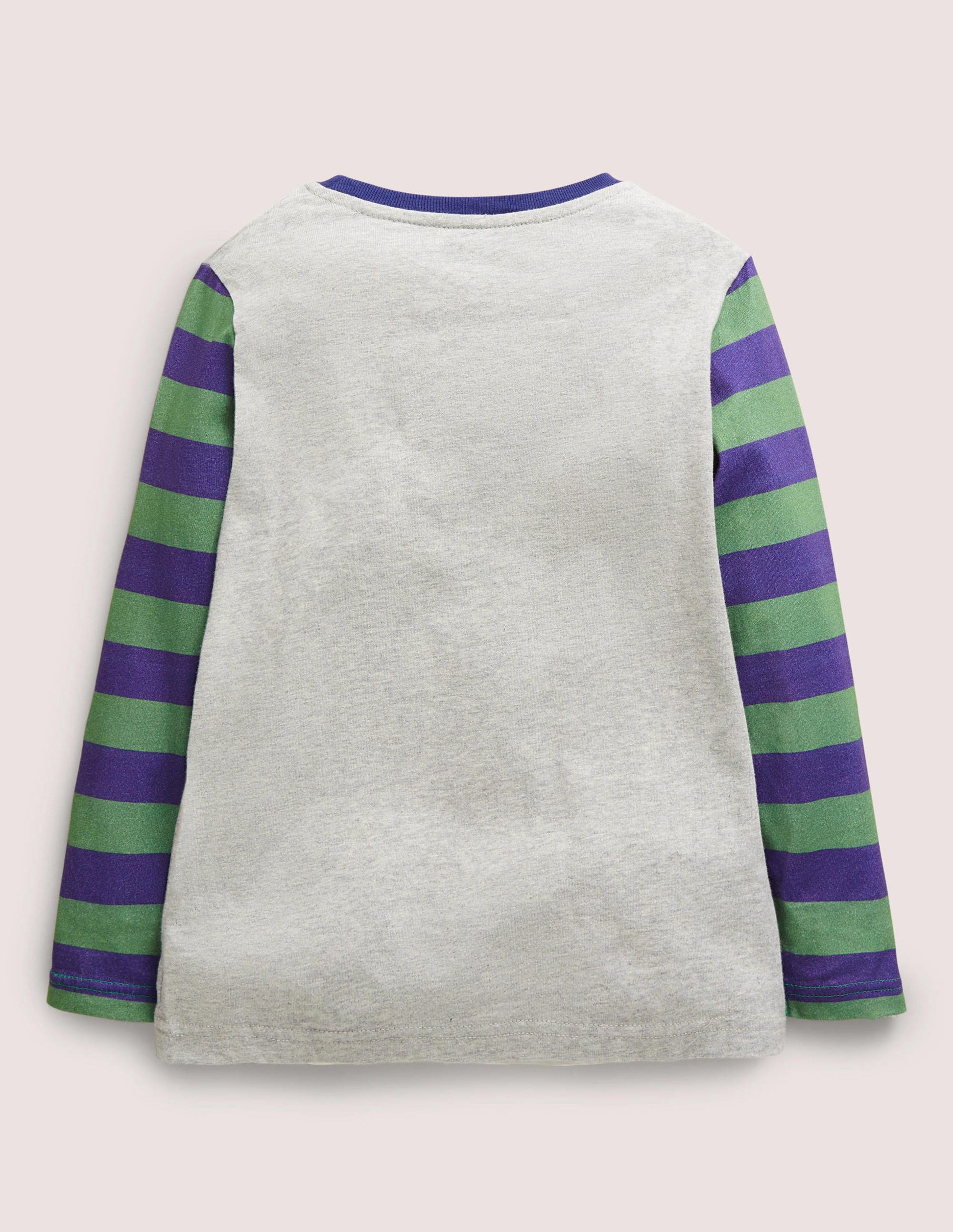 Appliqué Hotchpotch T-shirt-Grey Marl Boarding Guinea Pig-2