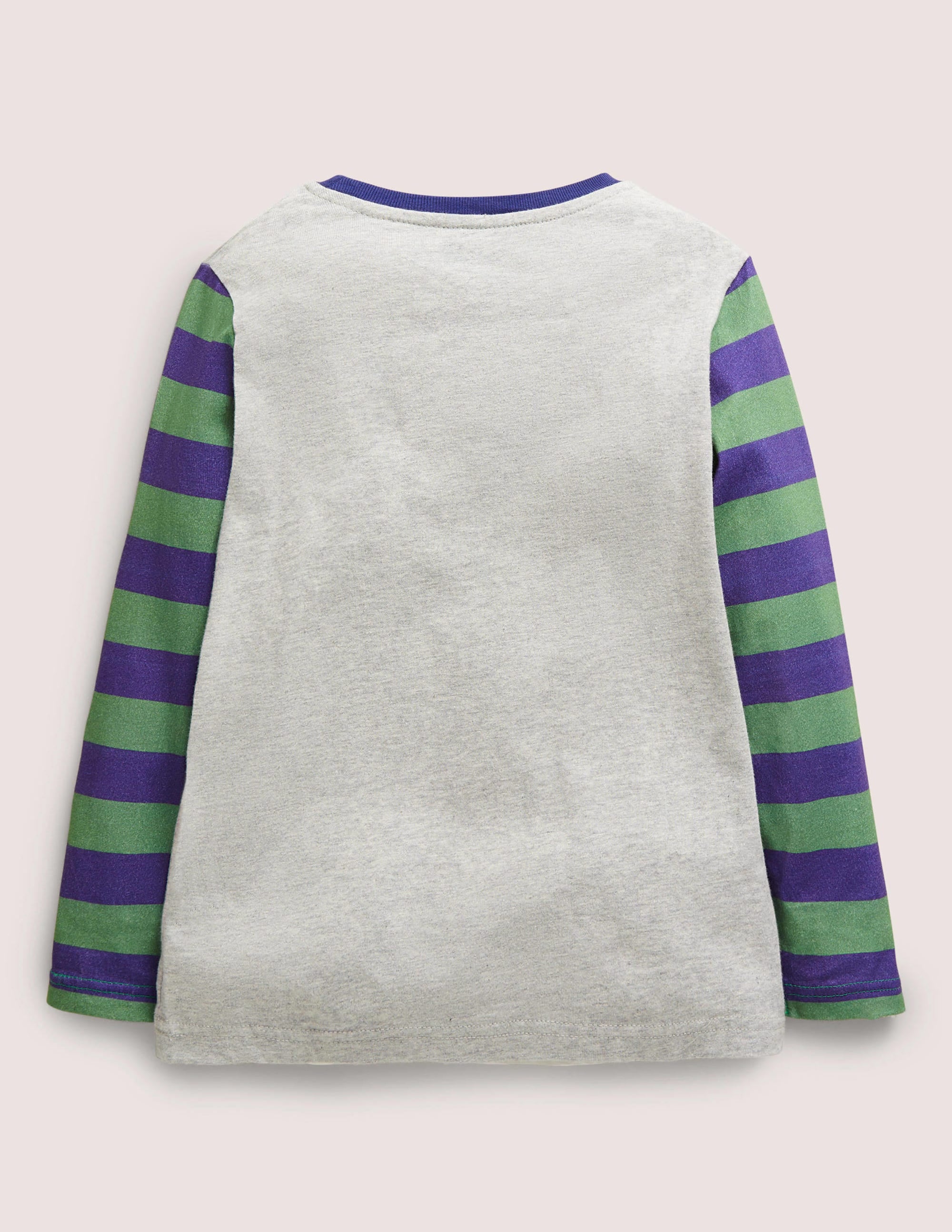 Appliqué Hotchpotch T-shirt-Grey Marl Boarding Guinea Pig - Image 2