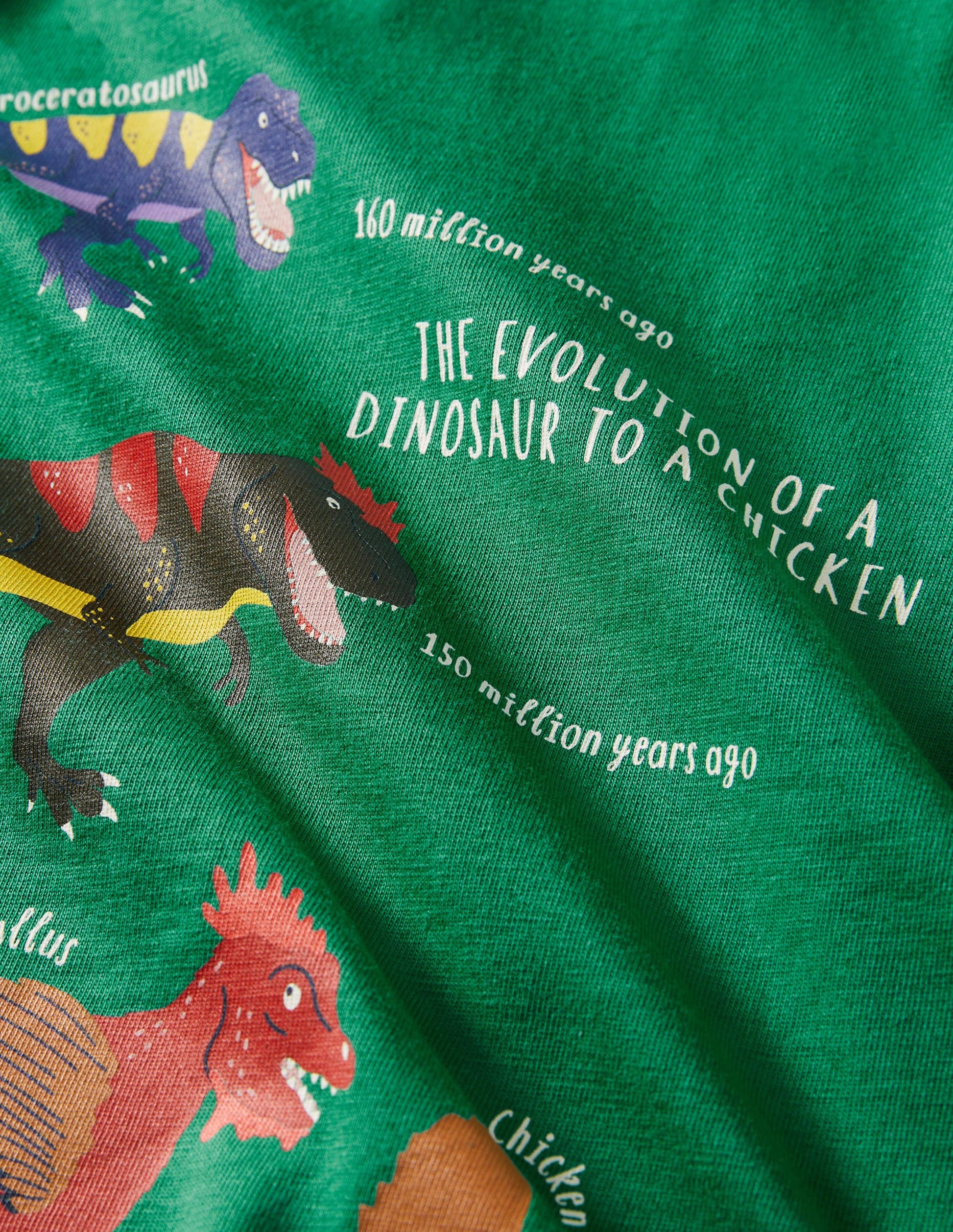 Printed Graphic T-shirt-Shady Glade Green Evolution-3