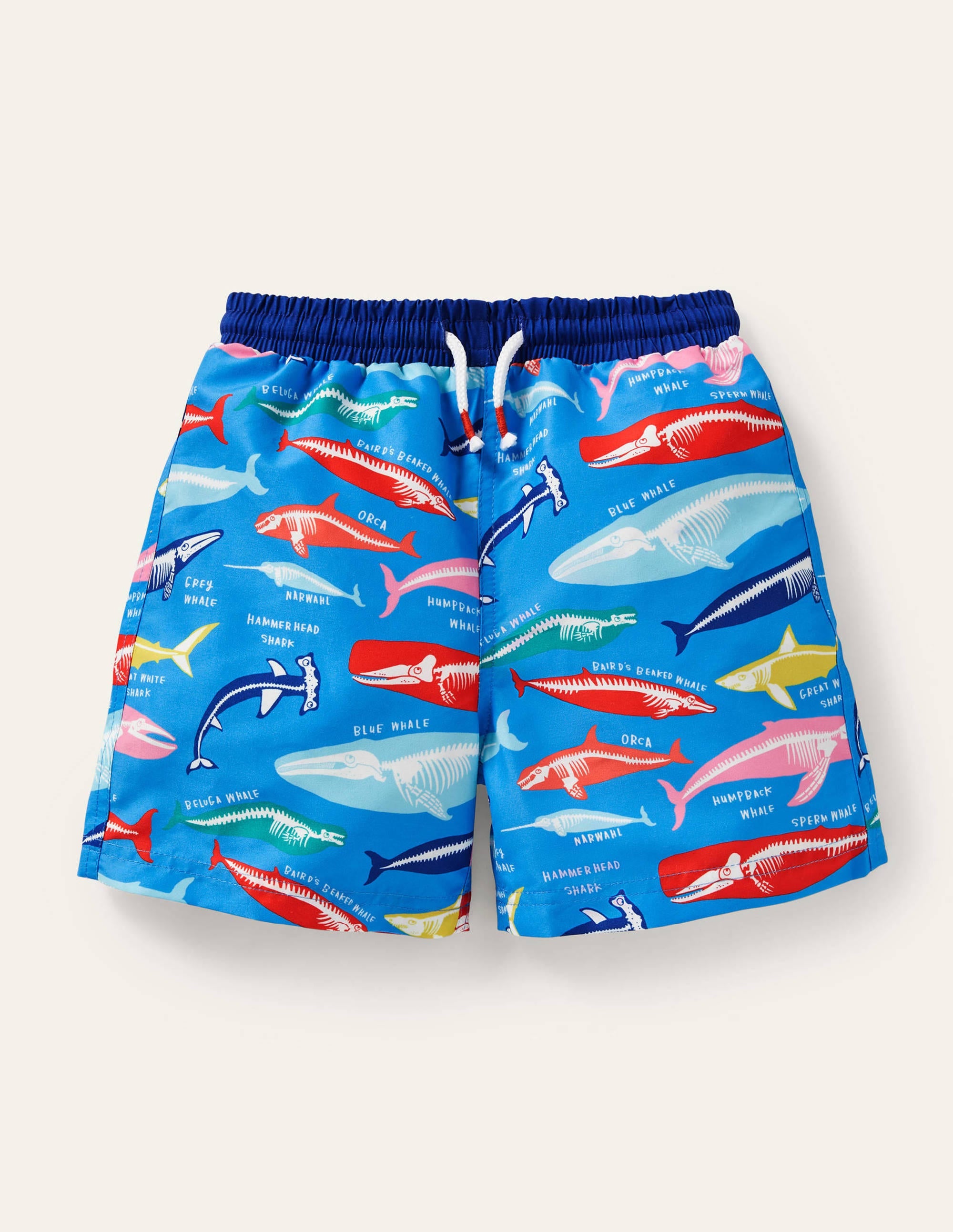 Swim Shorts-Malibu Blue, Whale Bones - Image 1
