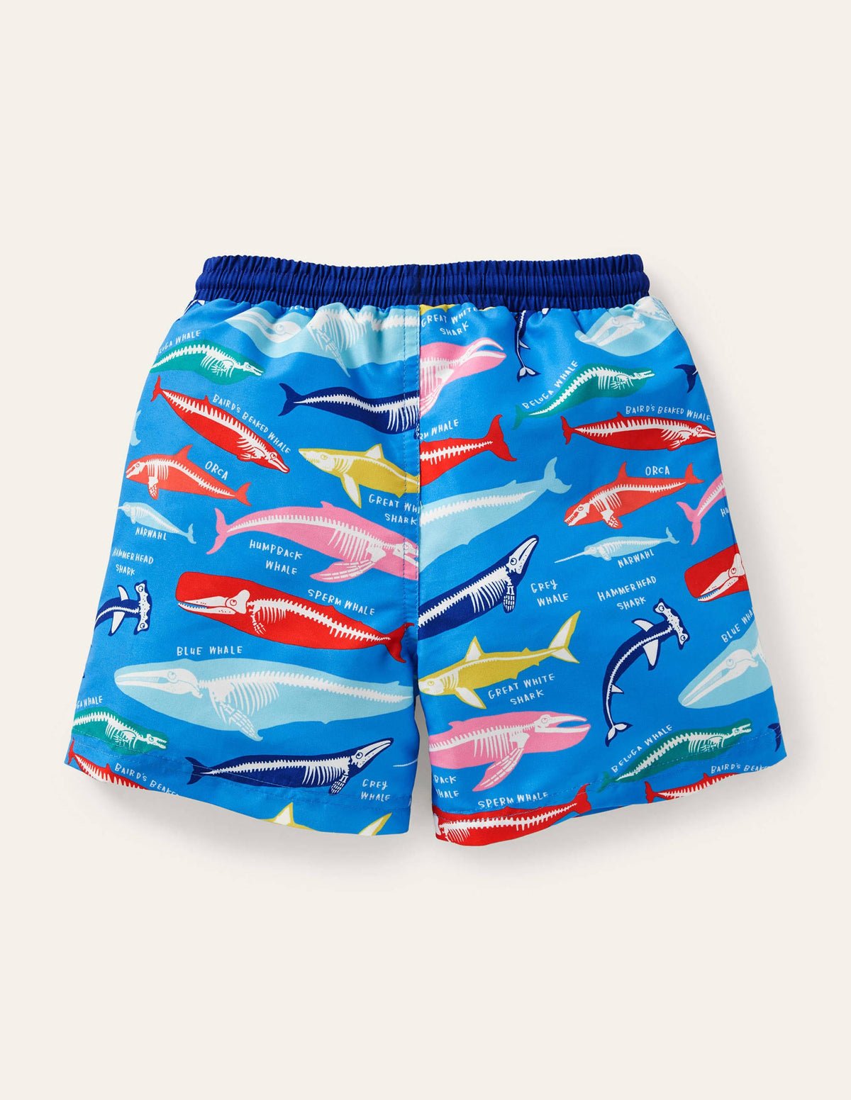 Swim Shorts-Malibu Blue, Whale Bones-2