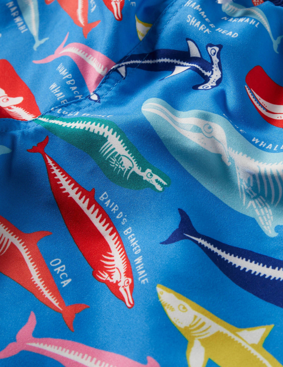 Swim Shorts-Malibu Blue, Whale Bones - Image 3