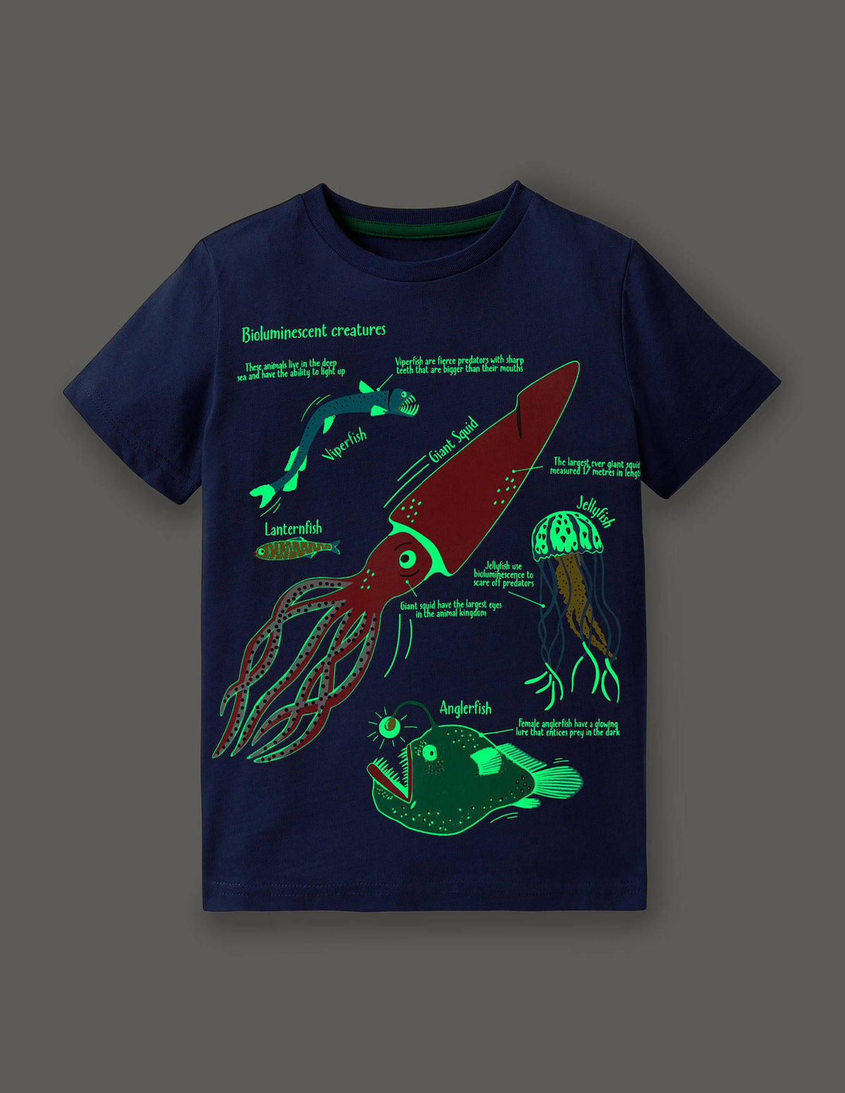 Blue Sea Creatures Glow-in-the-Dark T-Shirt-Starboard Blue Creatures - Image 4