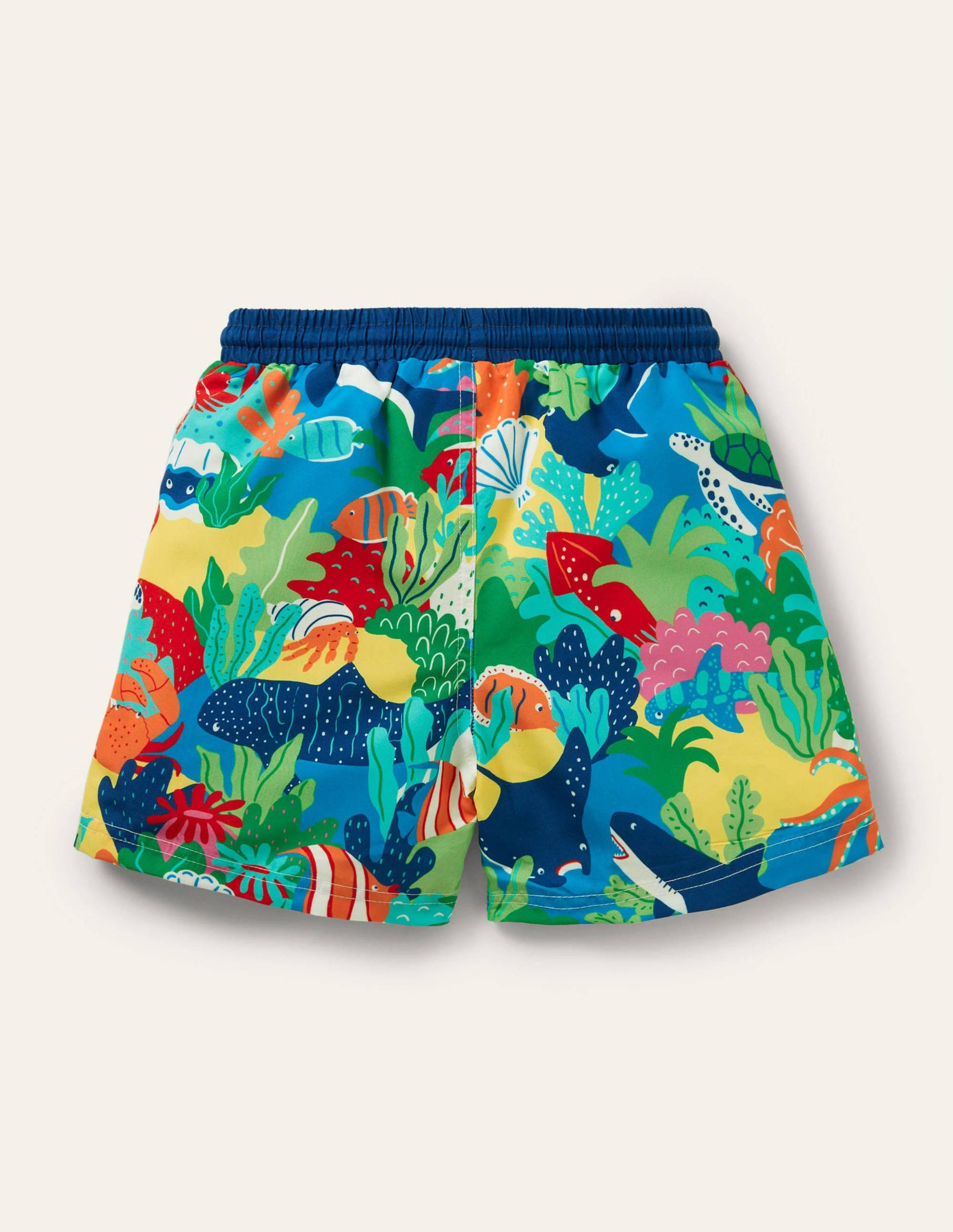 Swim Shorts-Multi Rainbow Reef-2