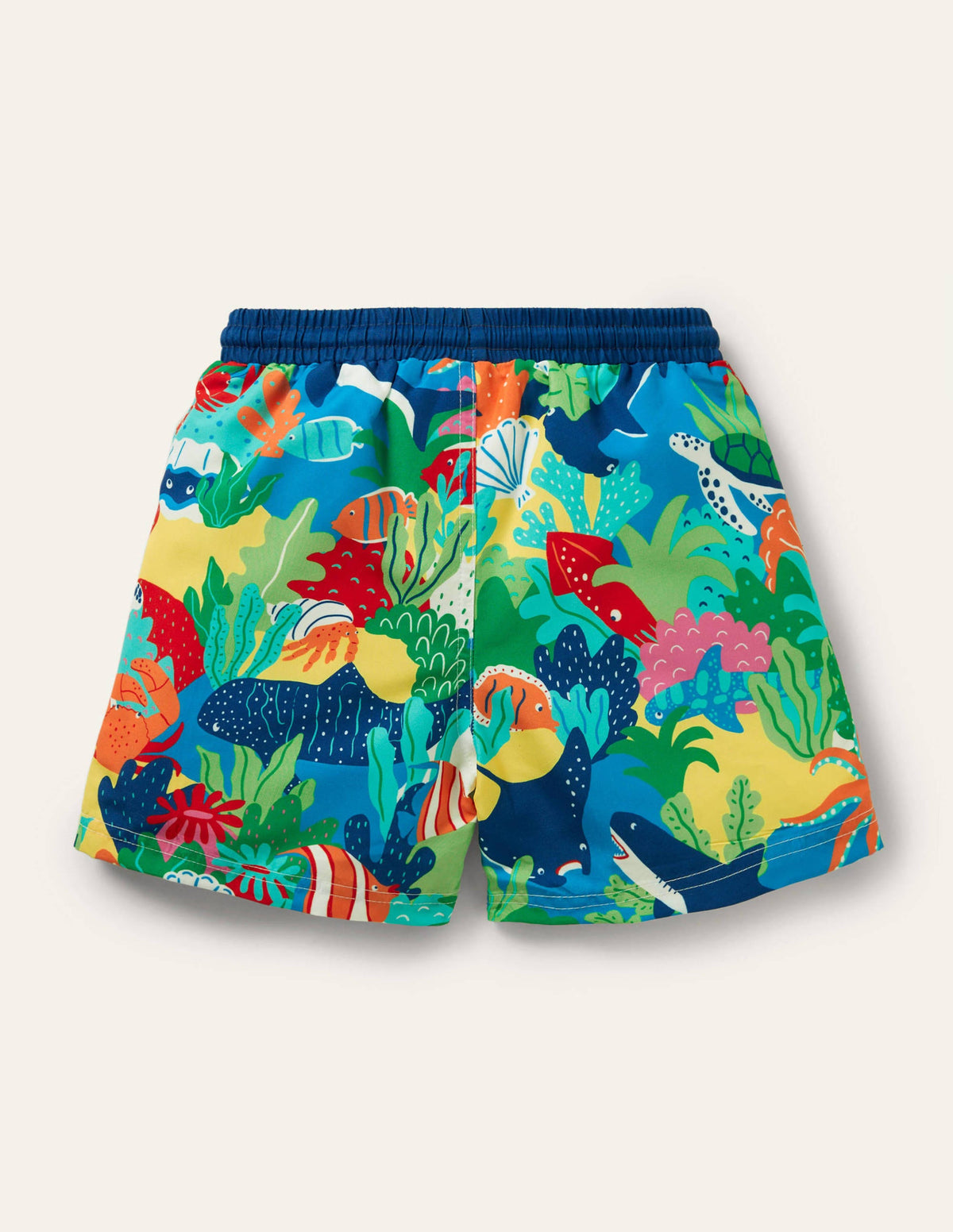Swim Shorts-Multi Rainbow Reef - Image 2