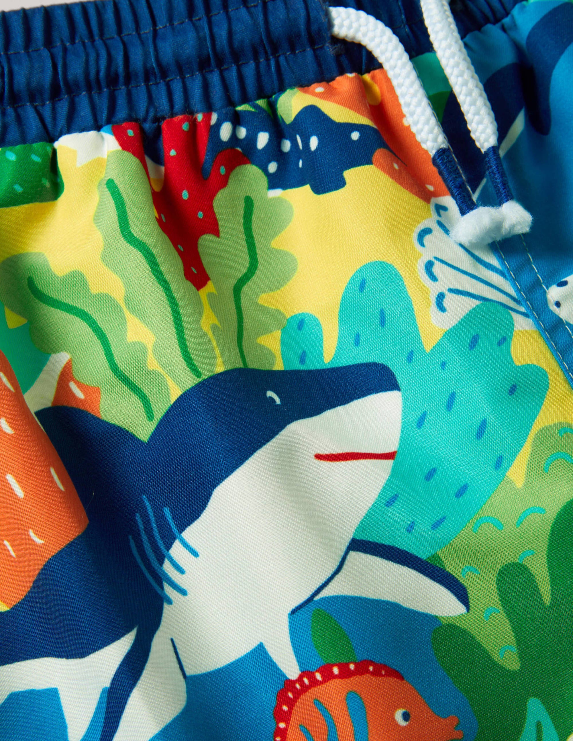 Swim Shorts-Multi Rainbow Reef - Image 3