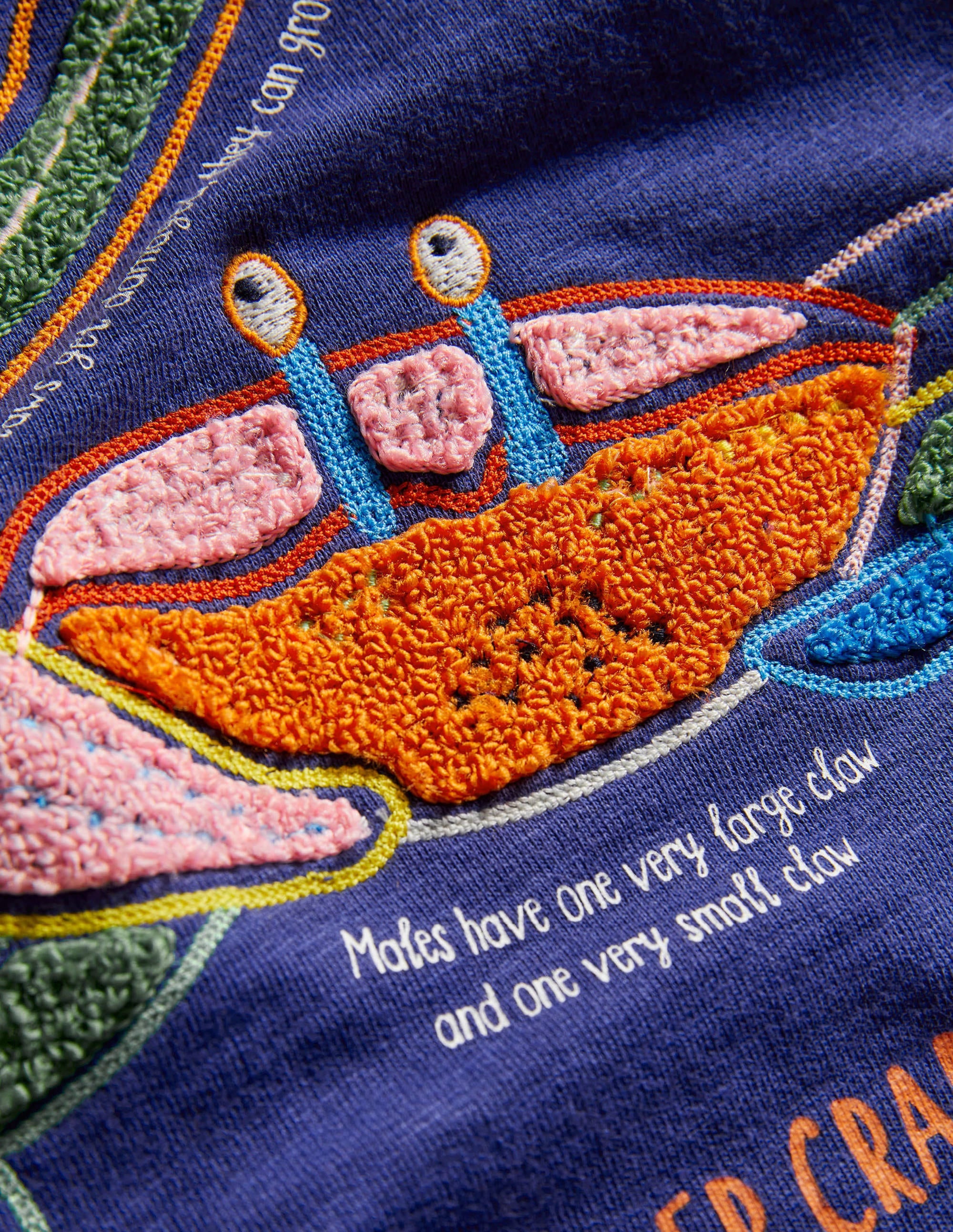 Appliqué Crab Sweatshirt-Starboard Blue - Image 3