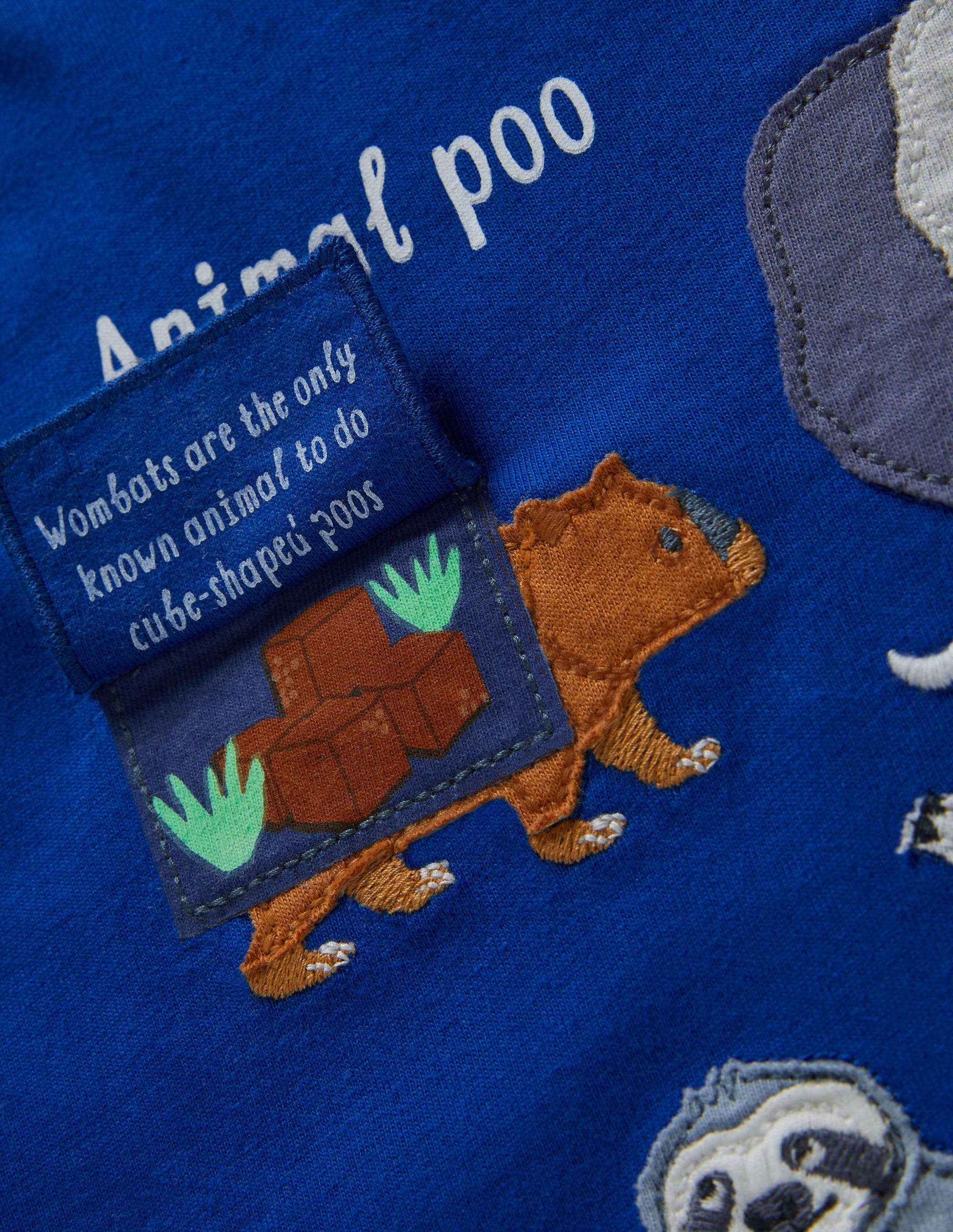 Educational Flap T-shirt-Brilliant Blue Animals - Image 3