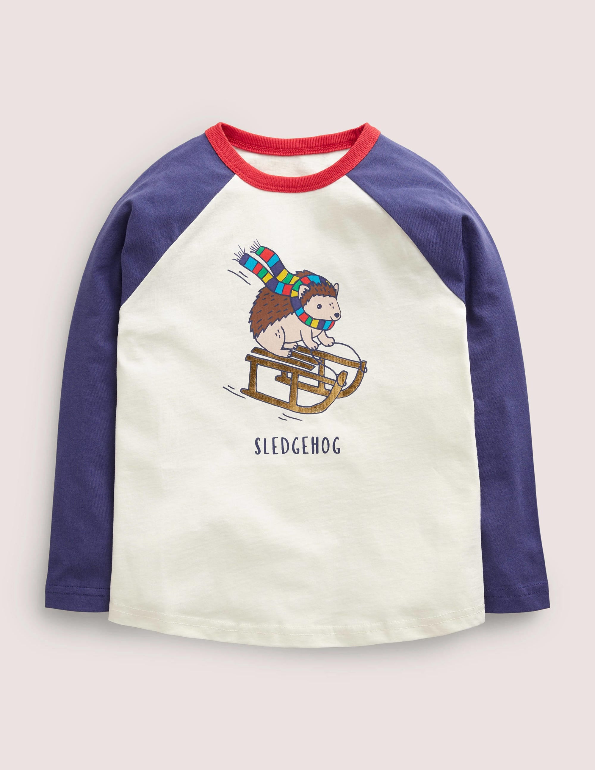 Festive Raglan T-shirt-Ivory Sledgehog - Image 1