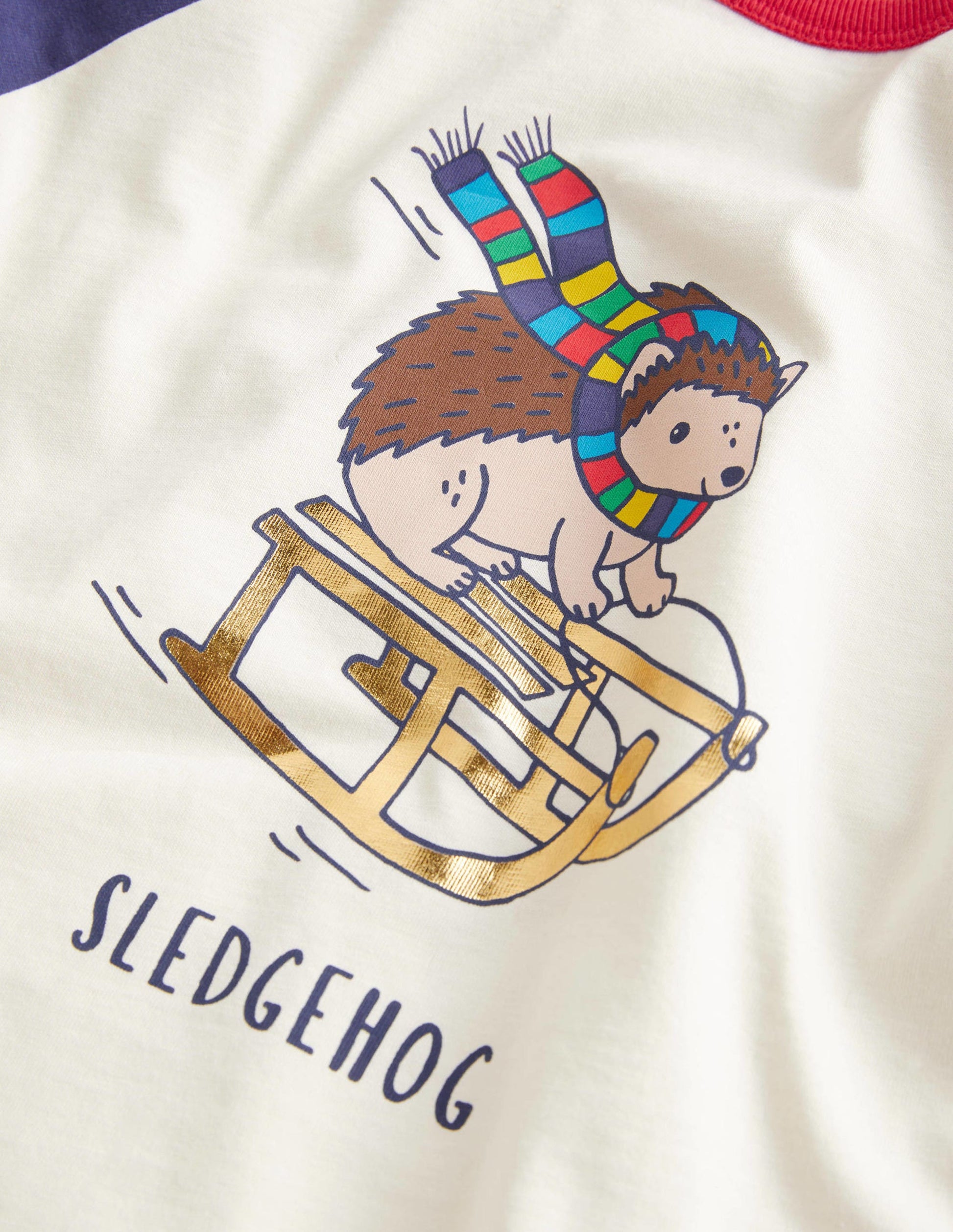 Festive Raglan T-shirt-Ivory Sledgehog-3