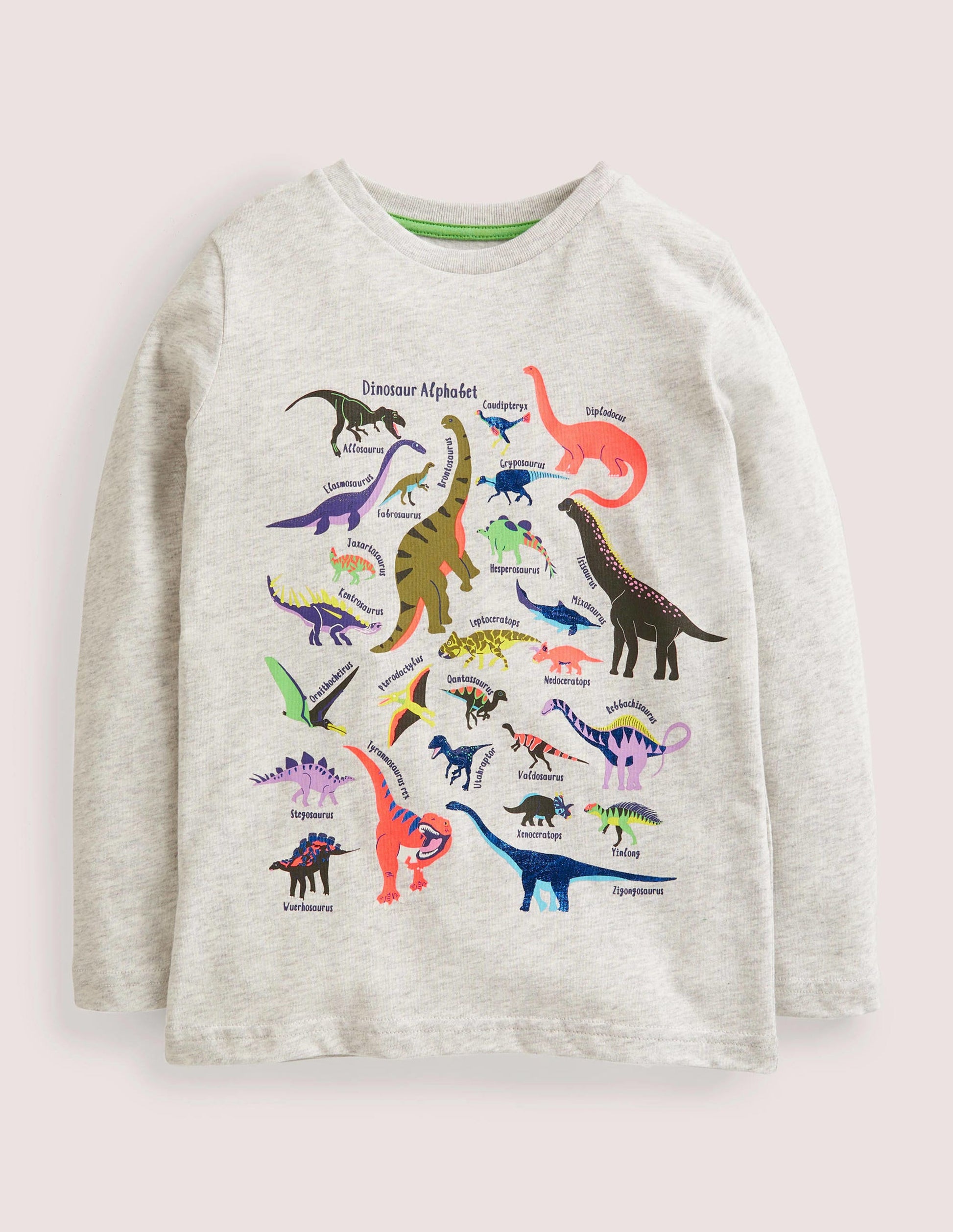 Long Sleeved Graphic T-shirt-Silver Marl Dinos-1