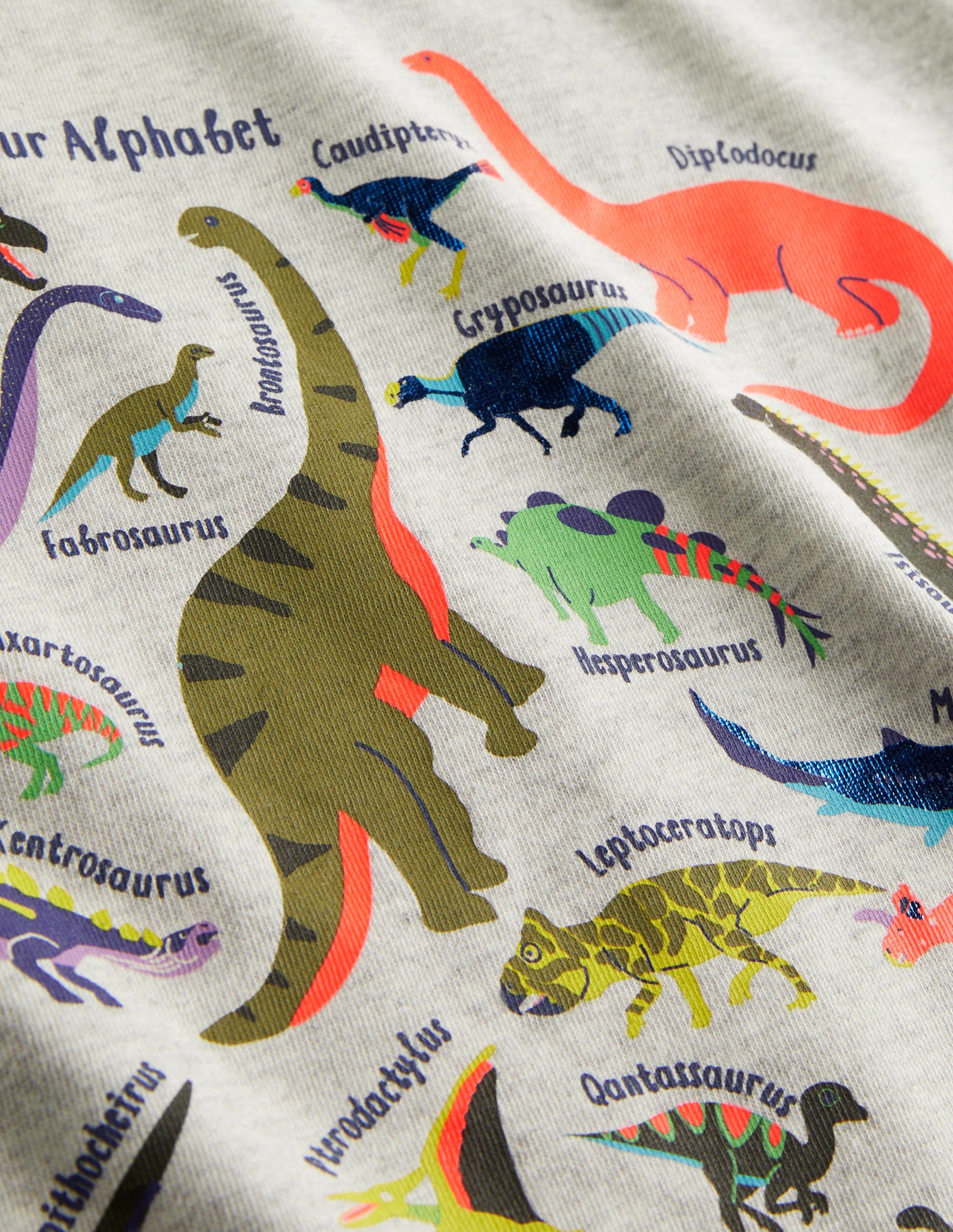 Long Sleeved Graphic T-shirt-Silver Marl Dinos-3