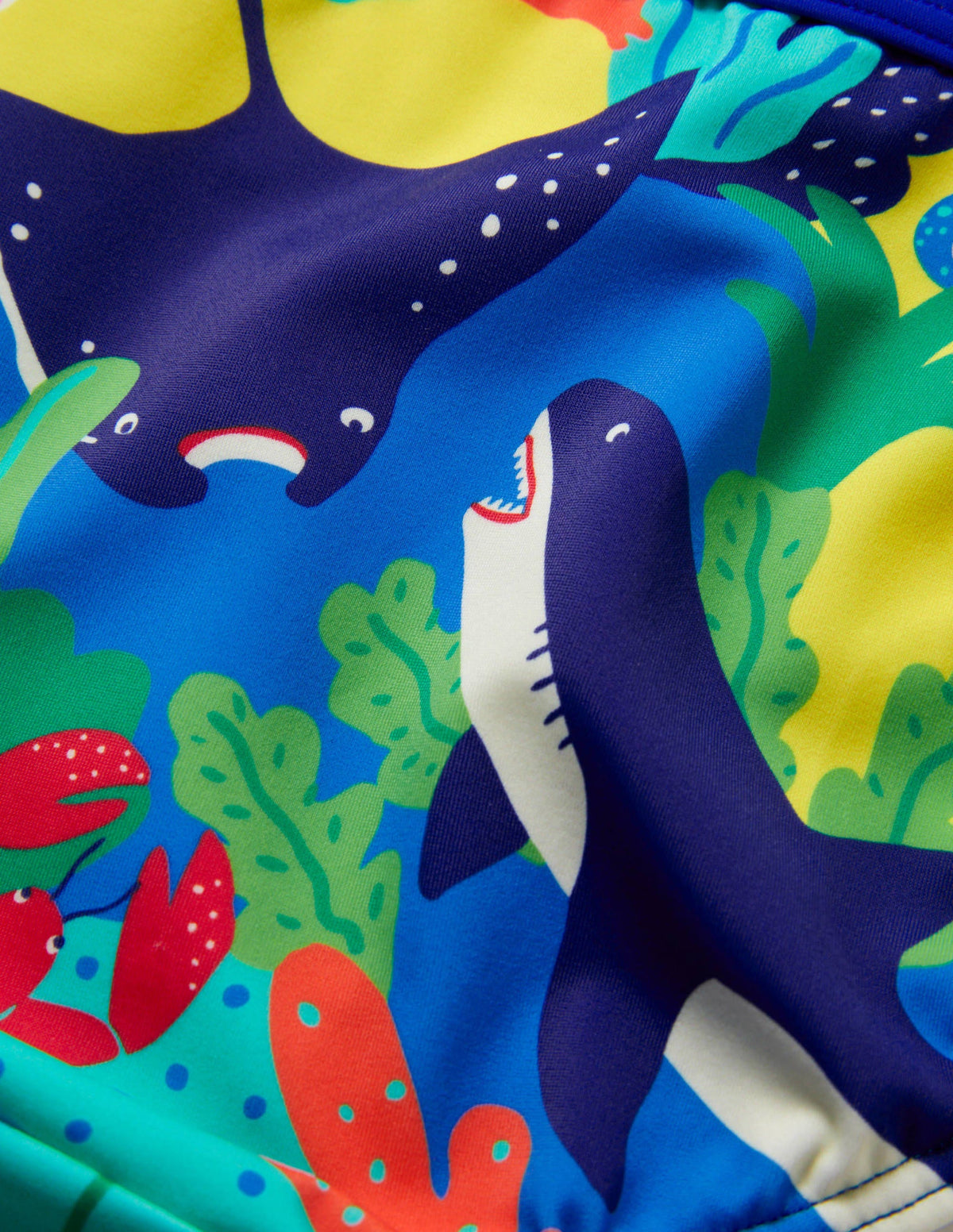Patterned Bikini Bottoms-Multi Rainbow Reef-3
