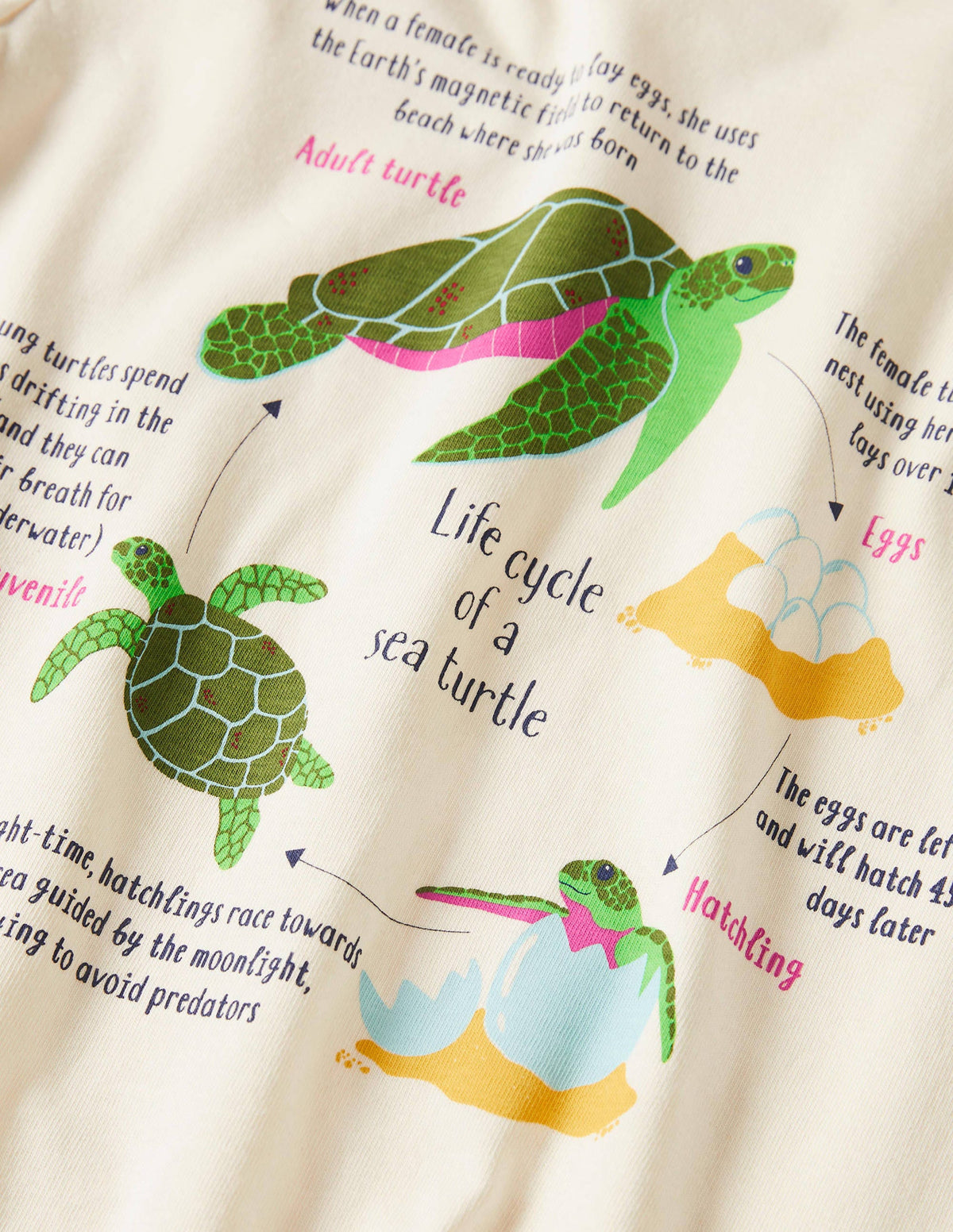 Fun Fact T-shirt-Ivory Turtles-3