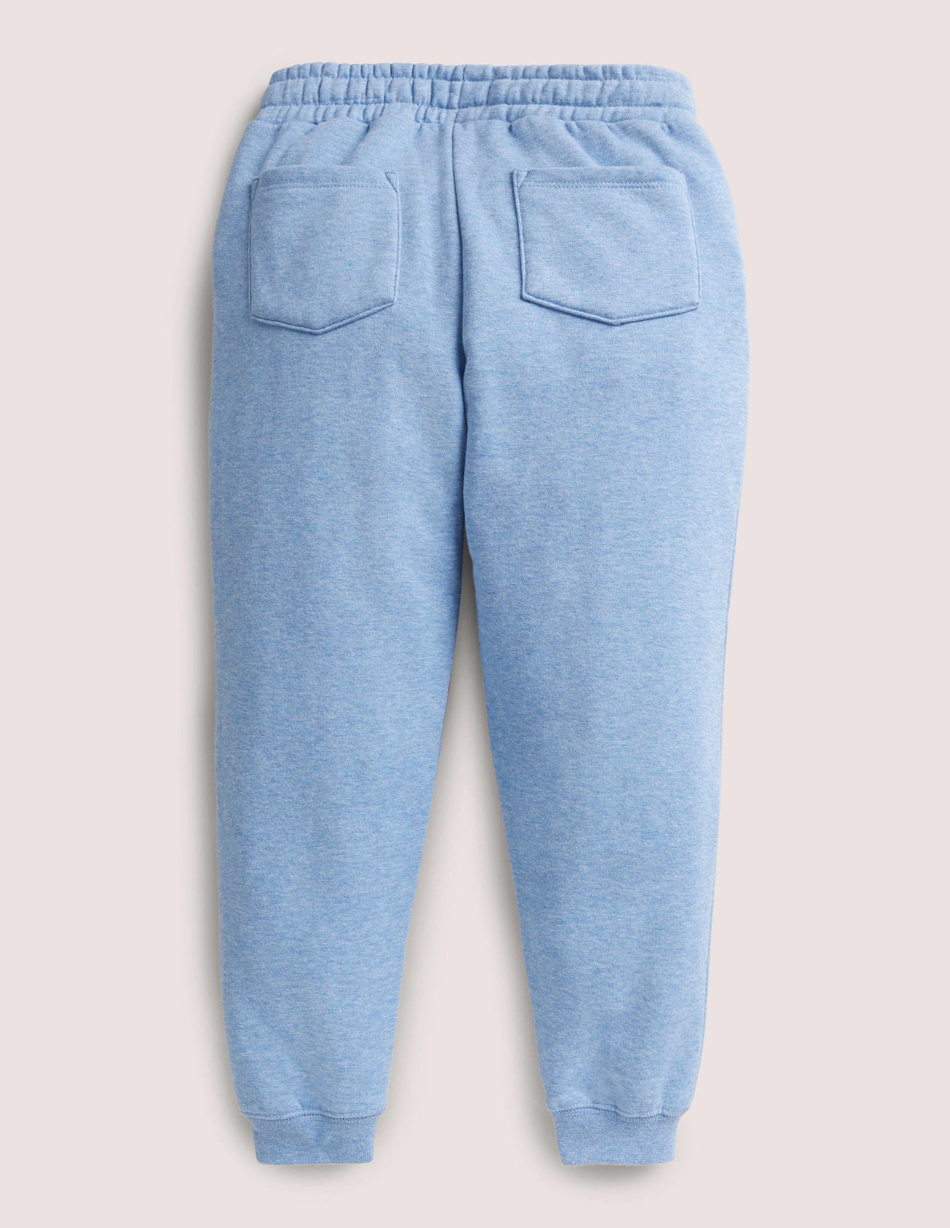 Embroidered Joggers-Riviera Blue Floral-2
