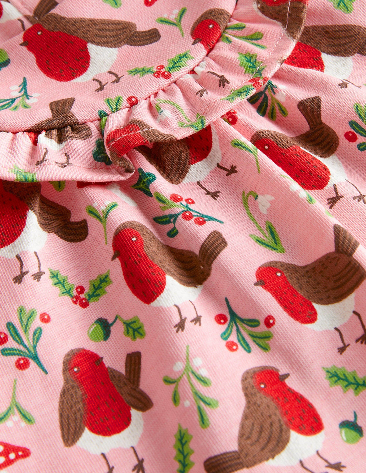 Printed Long Sleeve Dress-Boto Pink Robins-3