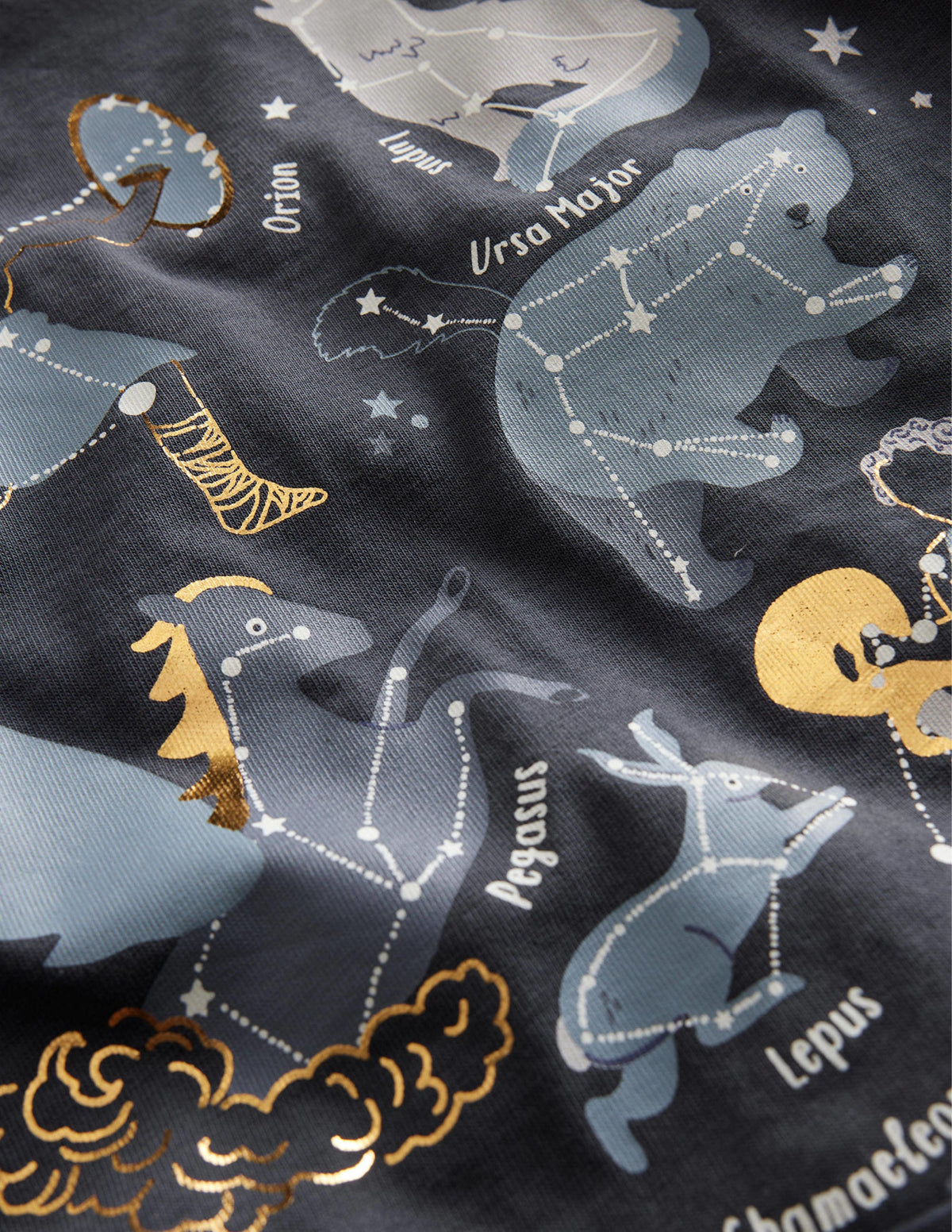 Astrology Printed T-shirt-Charcoal Astrology-3