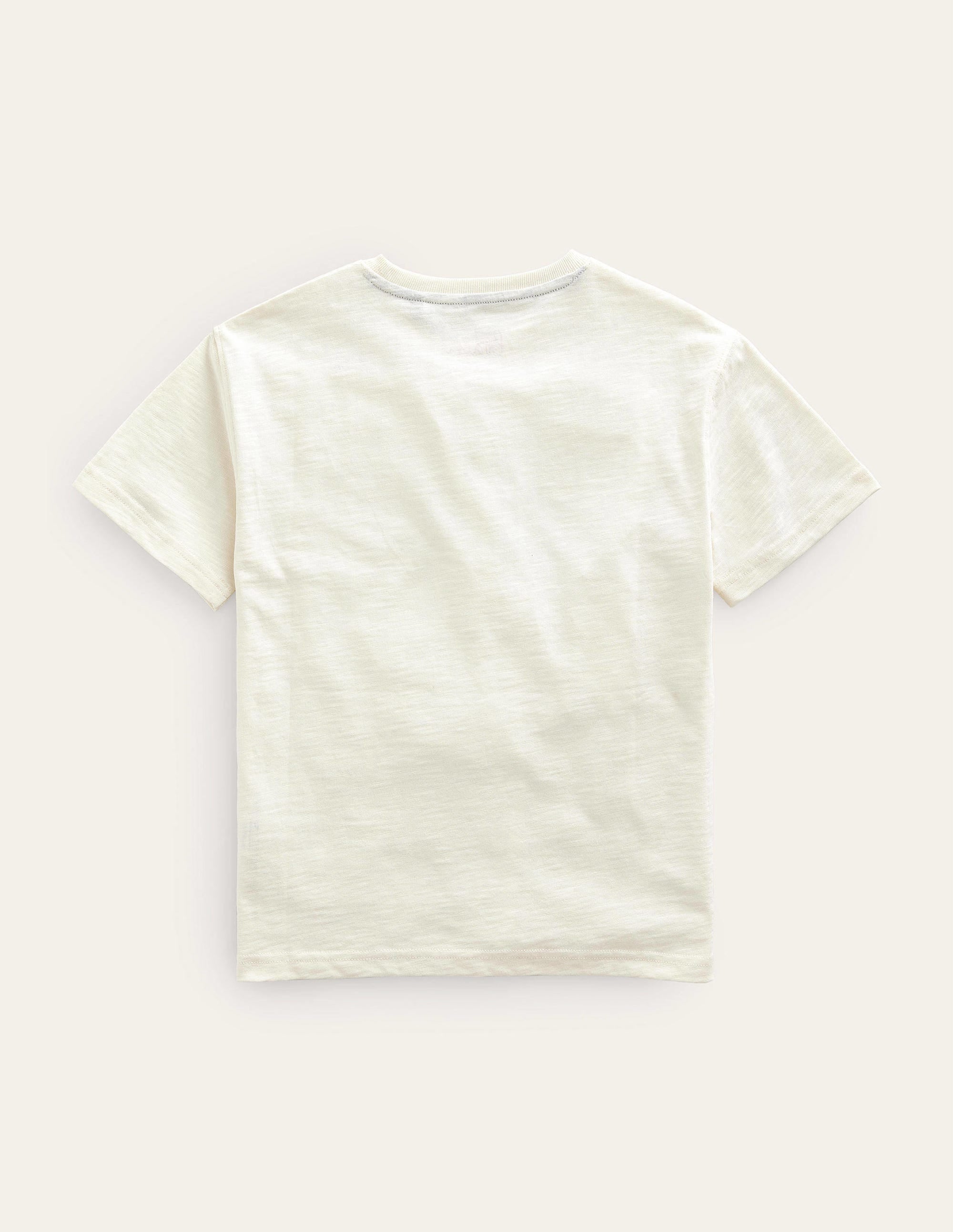 Printed Humour T-shirt-Vanilla Pod Turtle - Image 2