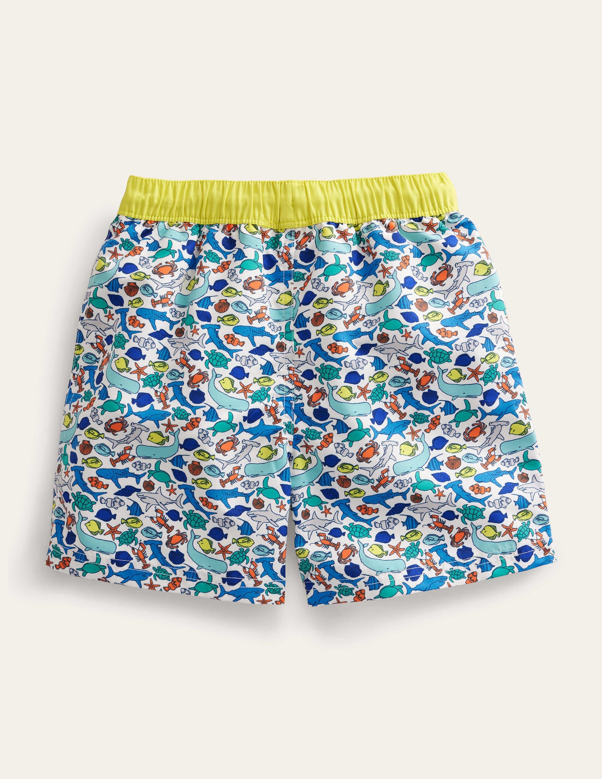 Swim Shorts-Multi Sealife-2