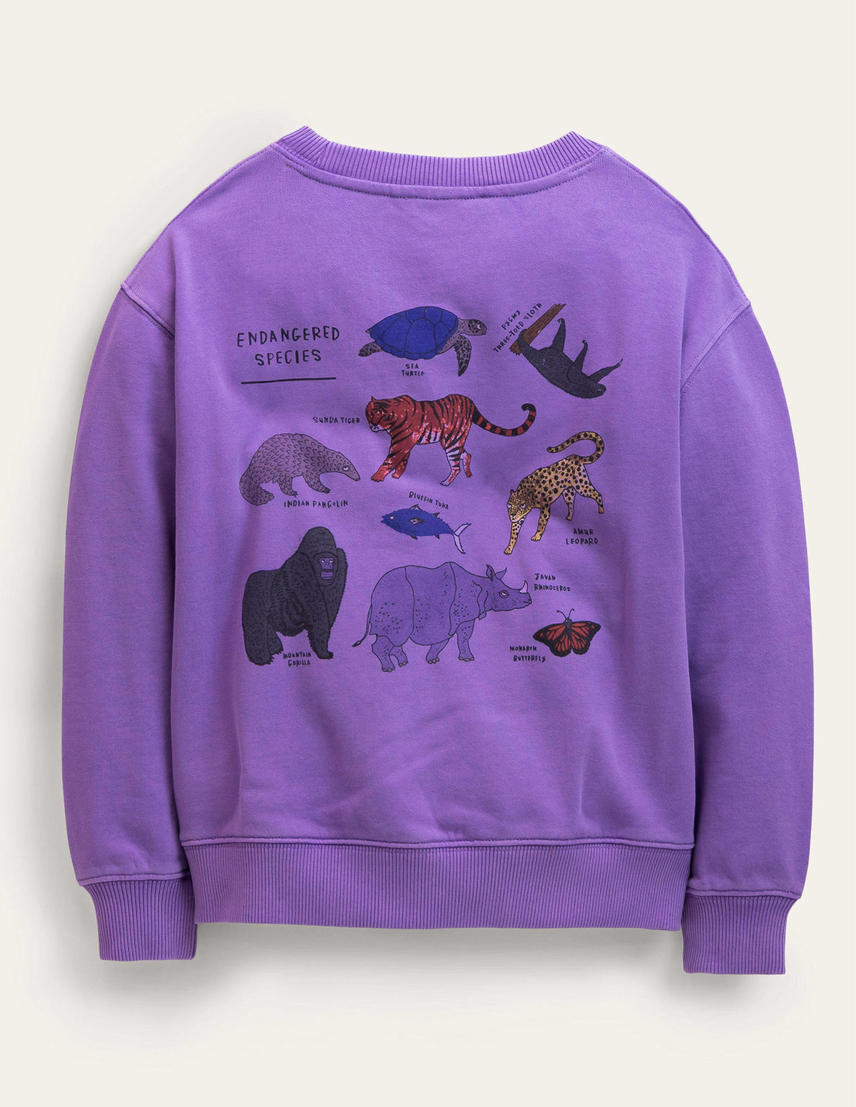 Logo Sweatshirt-Aster Purple - Image 2