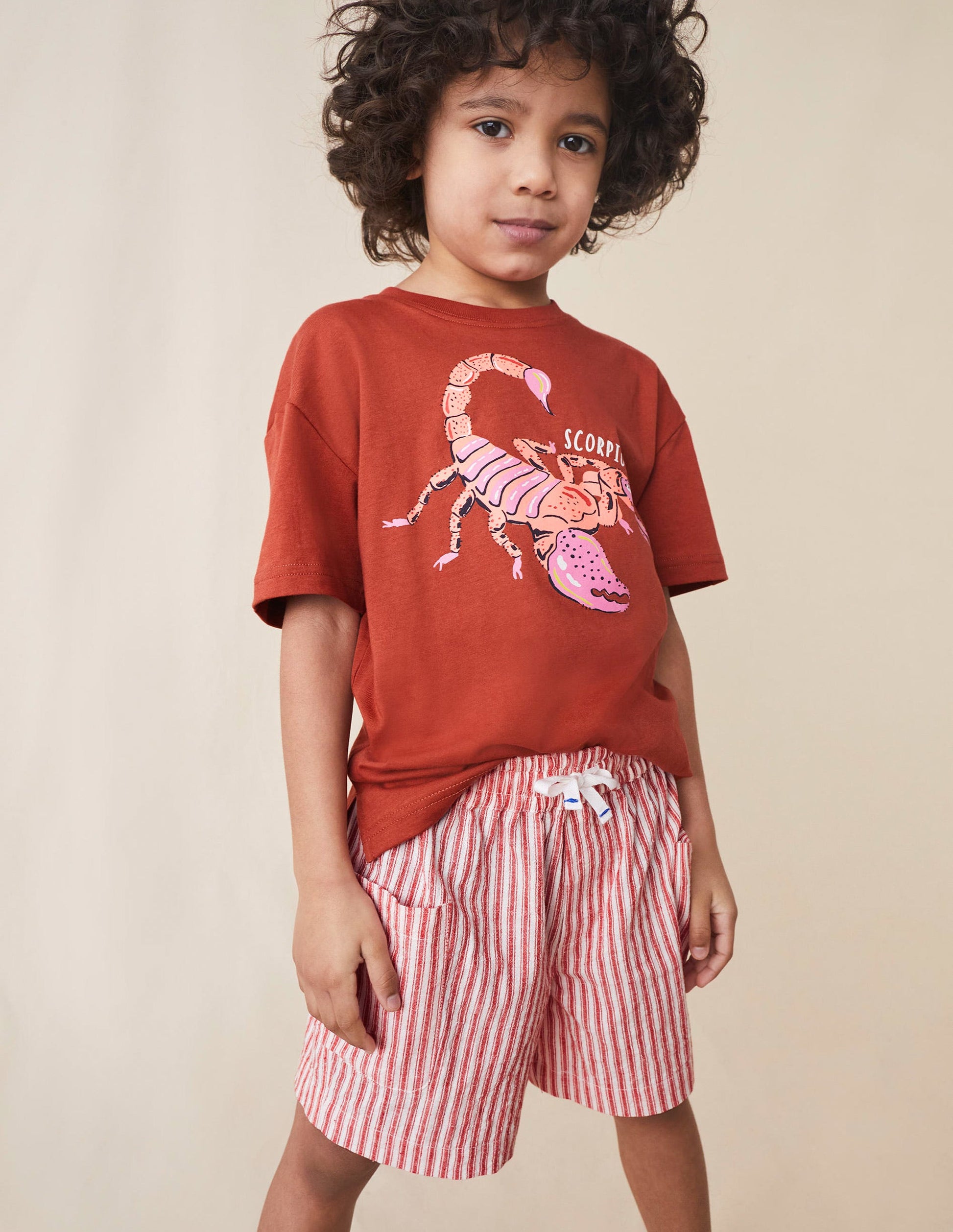 Pocket Shorts-Strawberry Tart Red Ticking-4