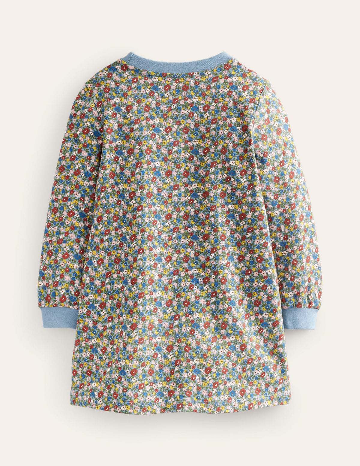 Appliqué Sweatshirt Dress-Pebble Blue Flower Dog-2