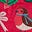 Embroidered Cord Dress-Pop Peony Festive