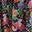 Flo Cotton Midi Shirt Dress-Black, Carnation Garden-6