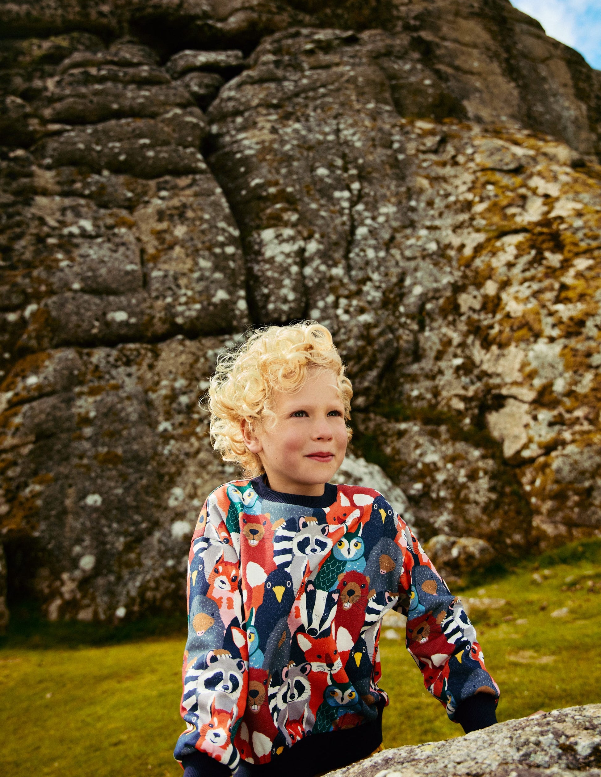 Printed Sweatshirt-Multi Animal Faces-4
