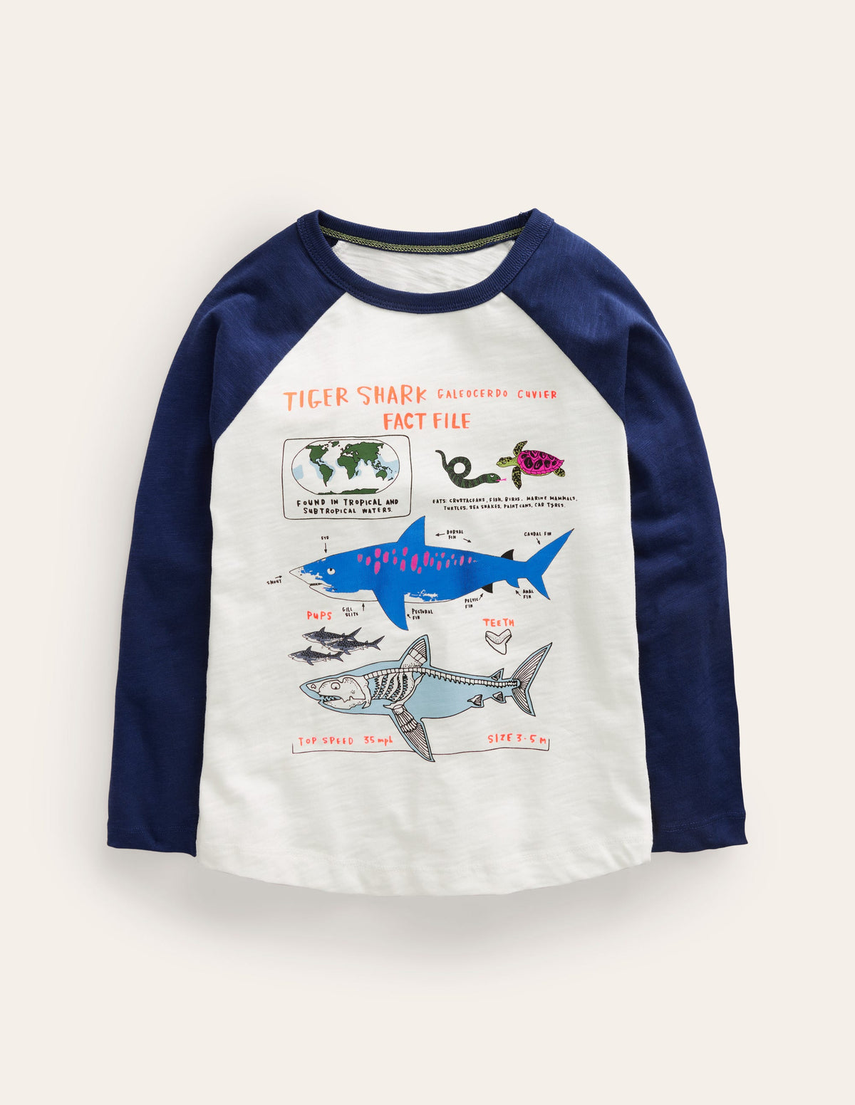 Raglan Fact File T-shirt-Ivory/Navy Sharks-1