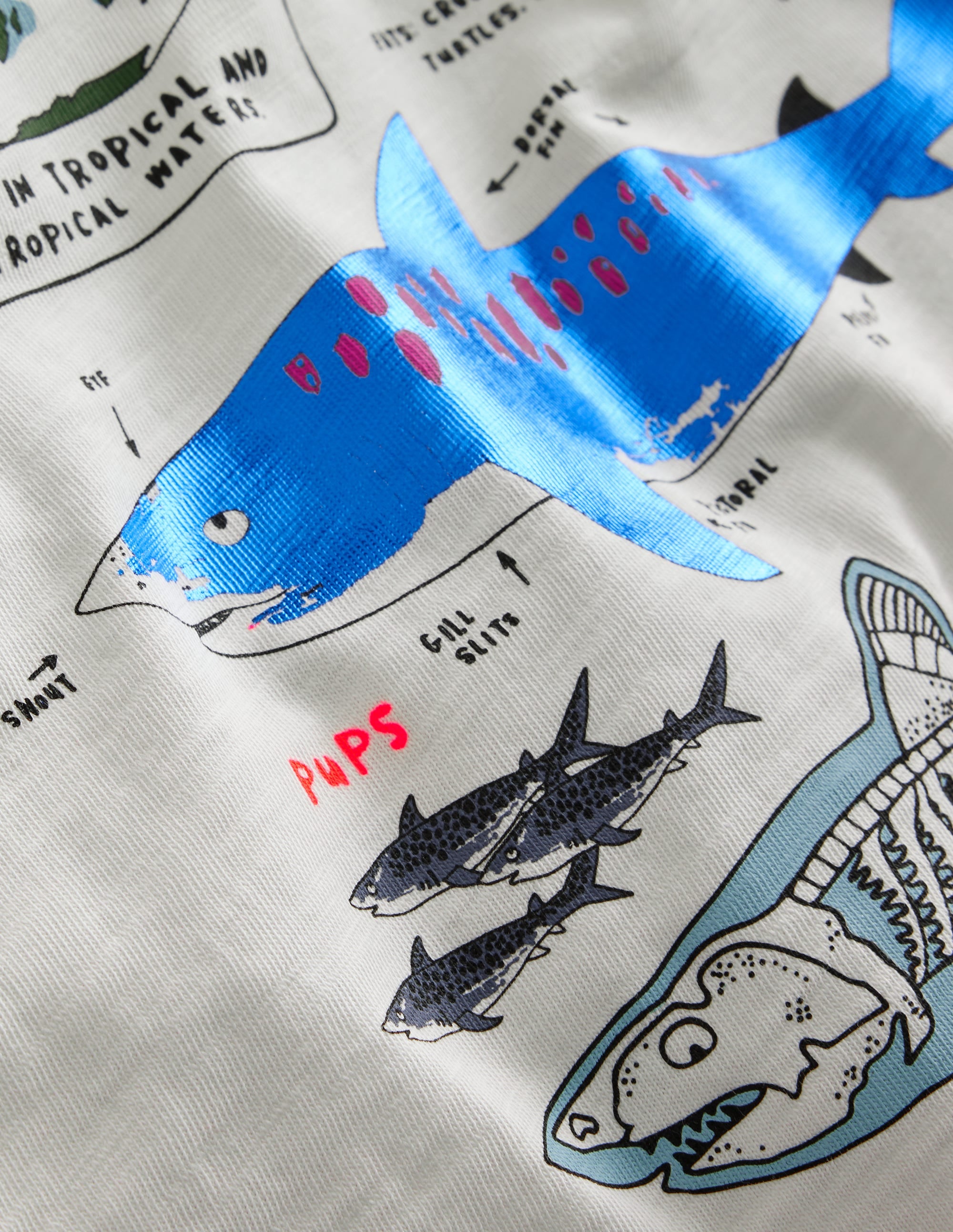 Raglan Fact File T-shirt-Ivory/Navy Sharks - Image 3