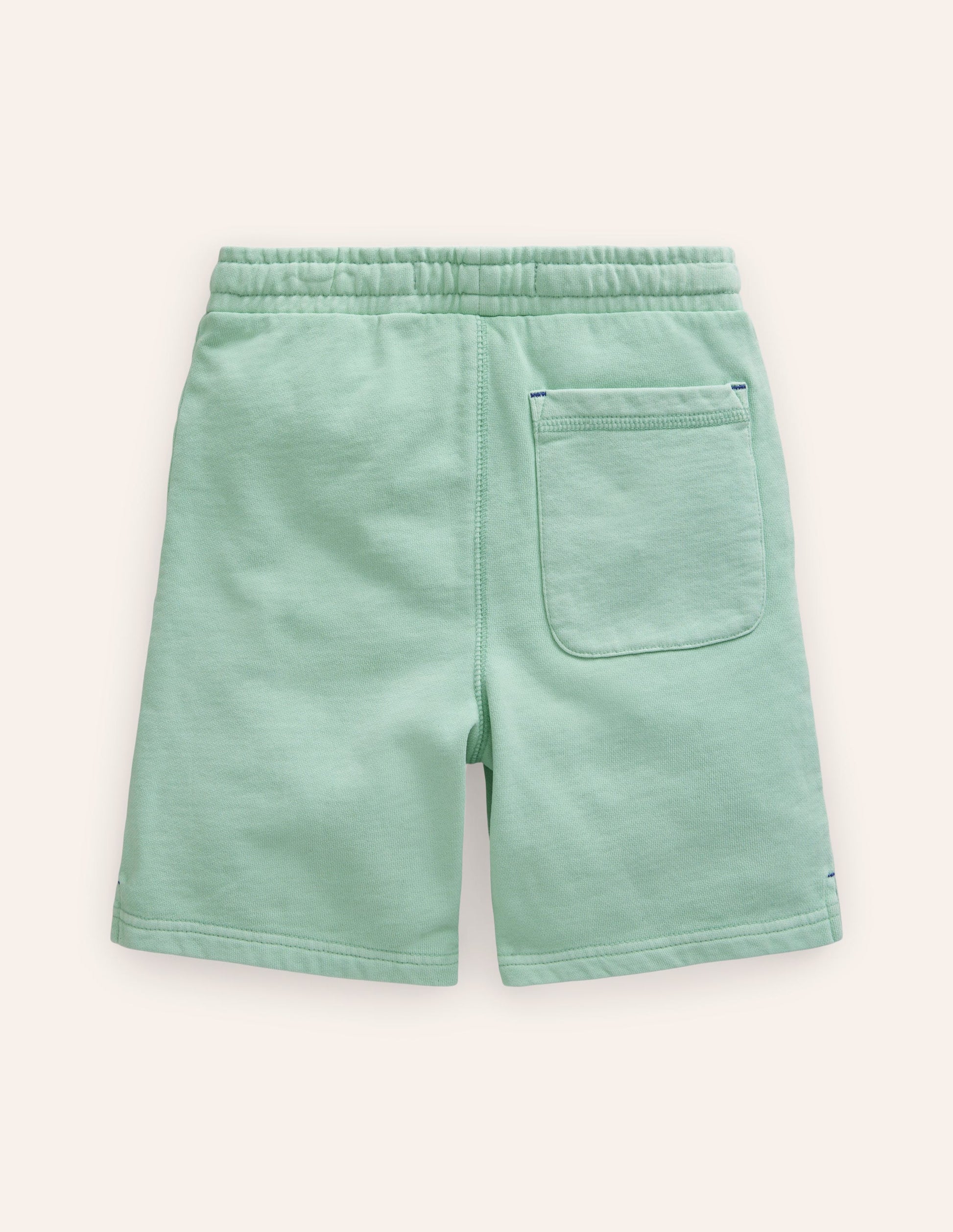 Garment Dye Shorts-JellyFish Green-2