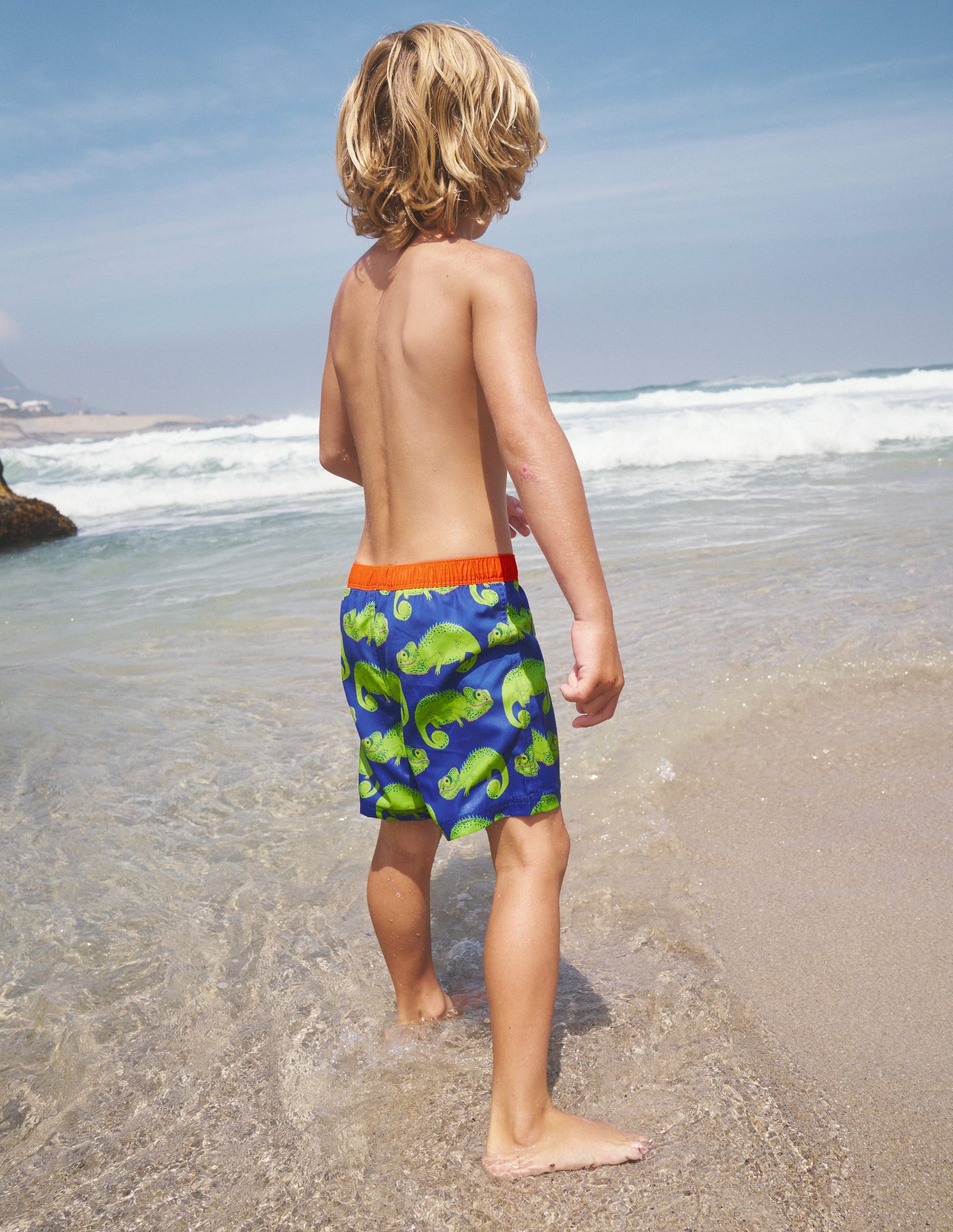 Swim Shorts-Blue Heron Chameleons-5