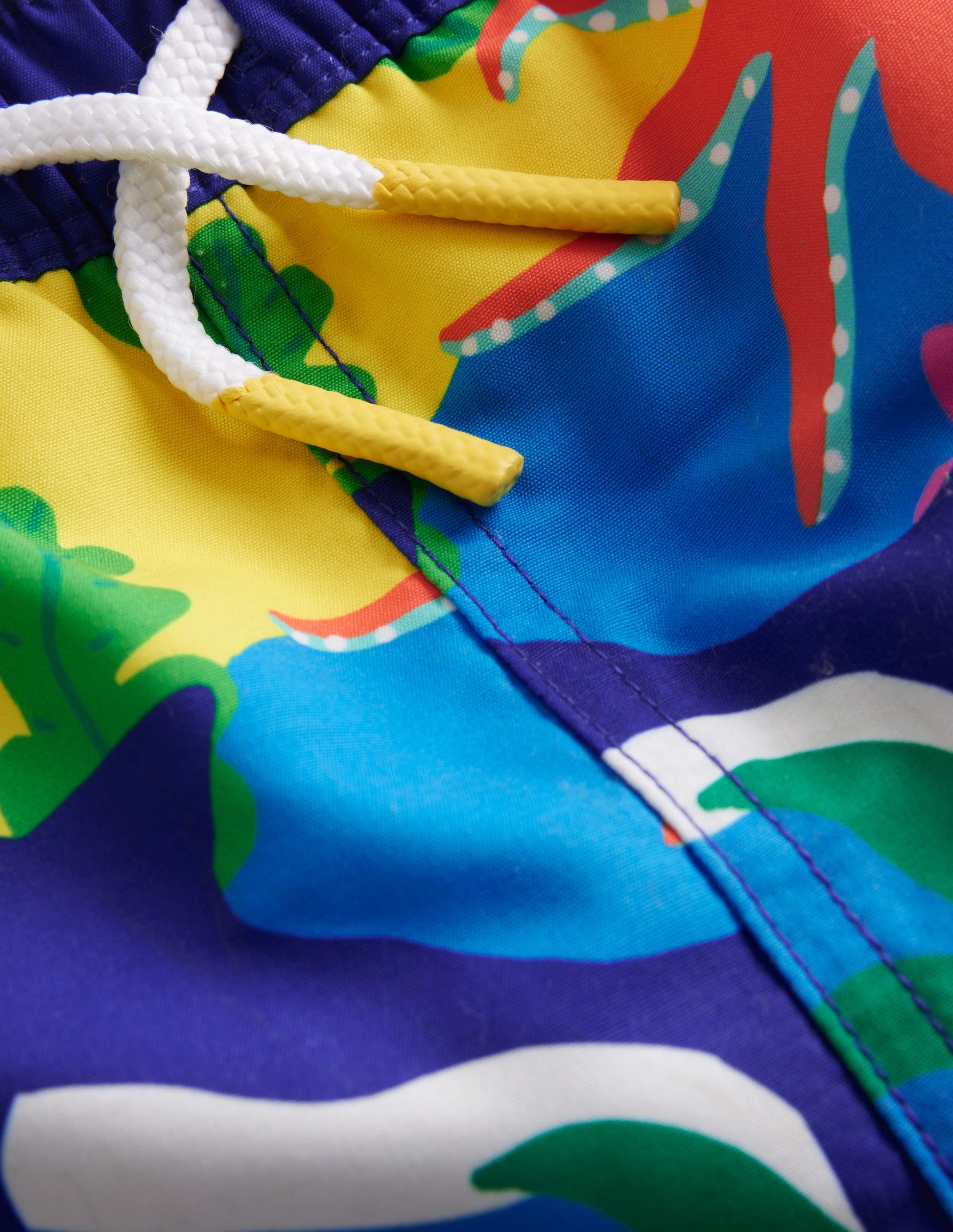 Swim Shorts-Multi Rainbow Reef-3