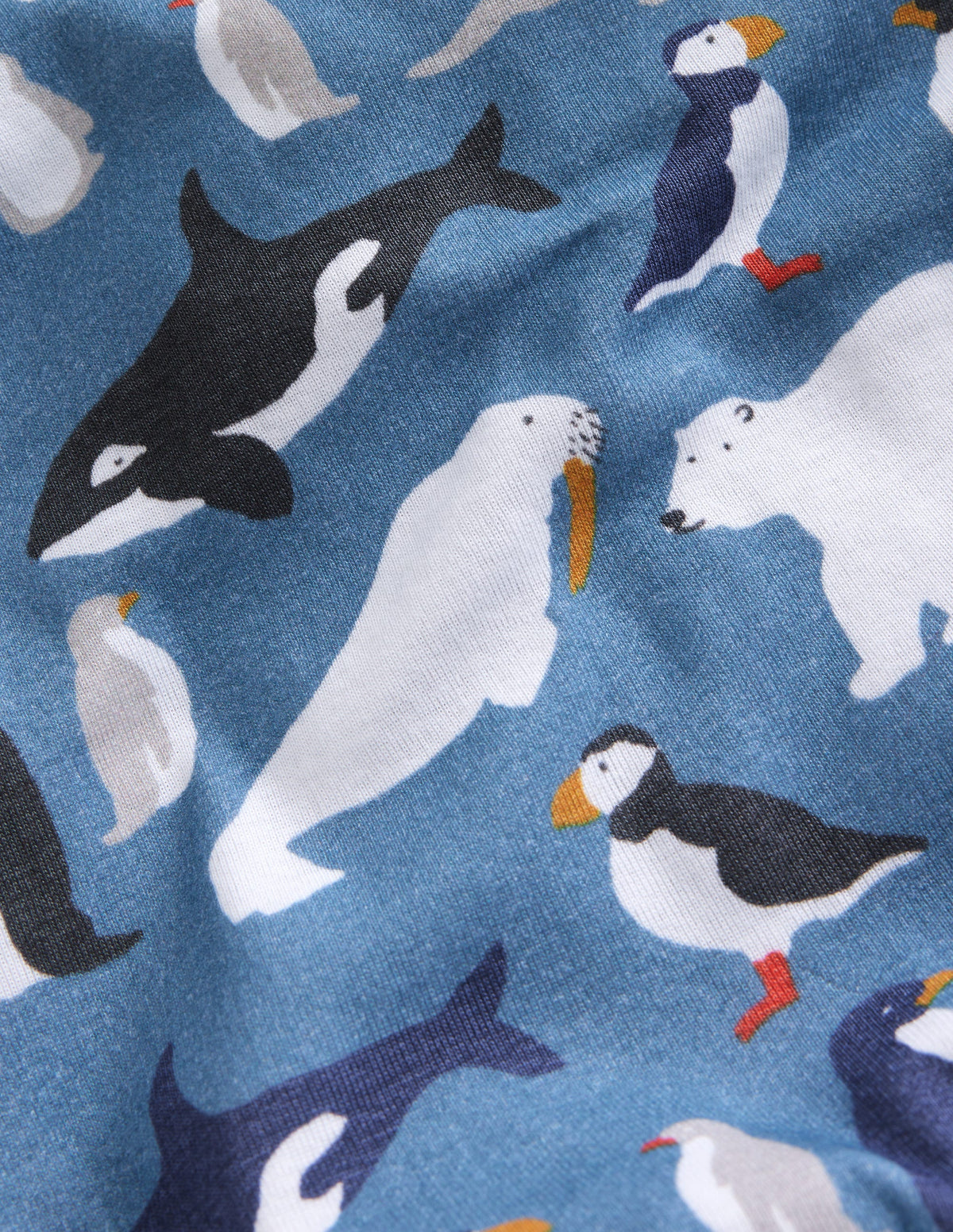 Snug Twin Pack Pyjamas-Blue Artic Animals and Stripe-2