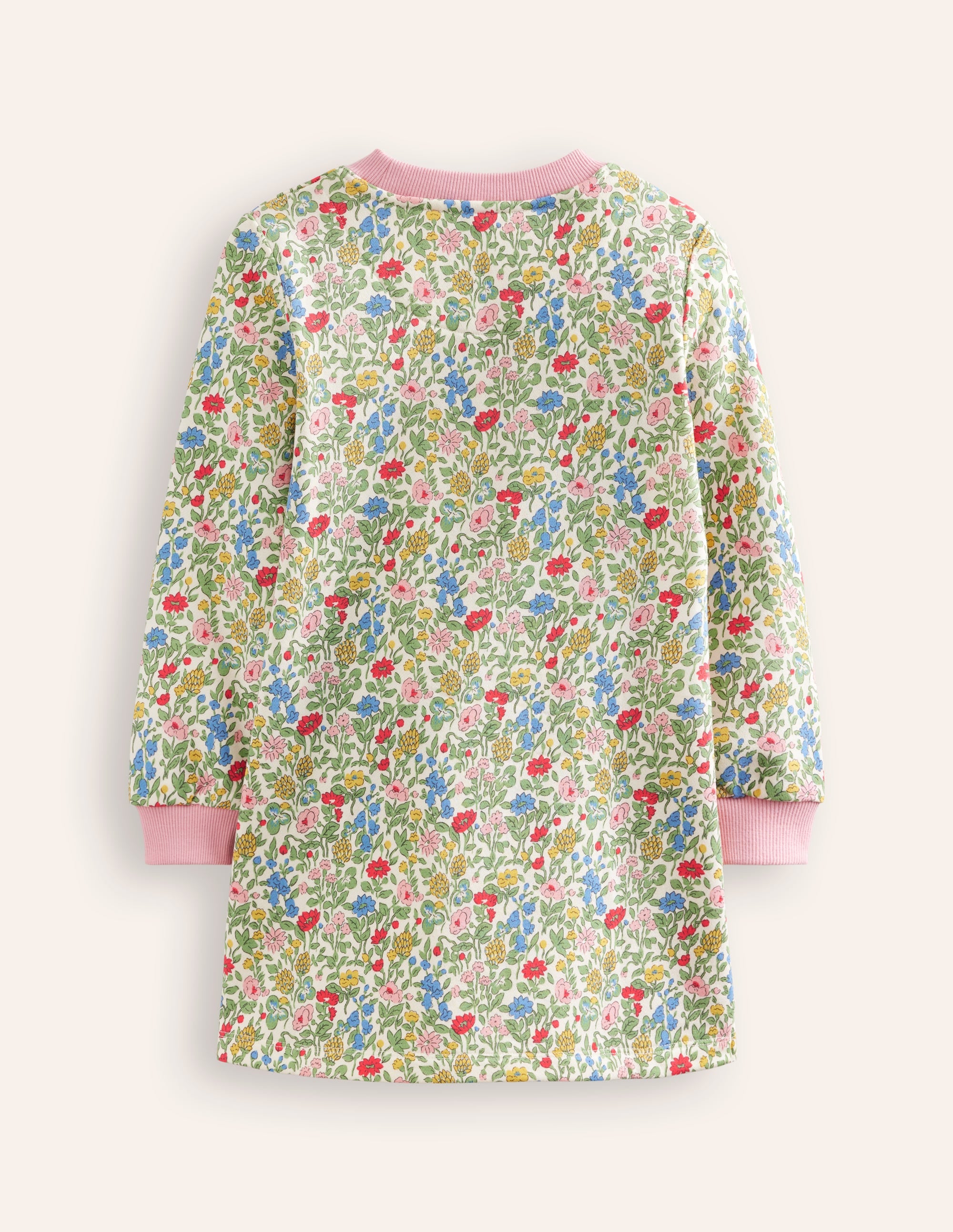 Ida Sweatshirt Appliqué Dress-Multi Meadow Floral Dinosaurs - Image 2