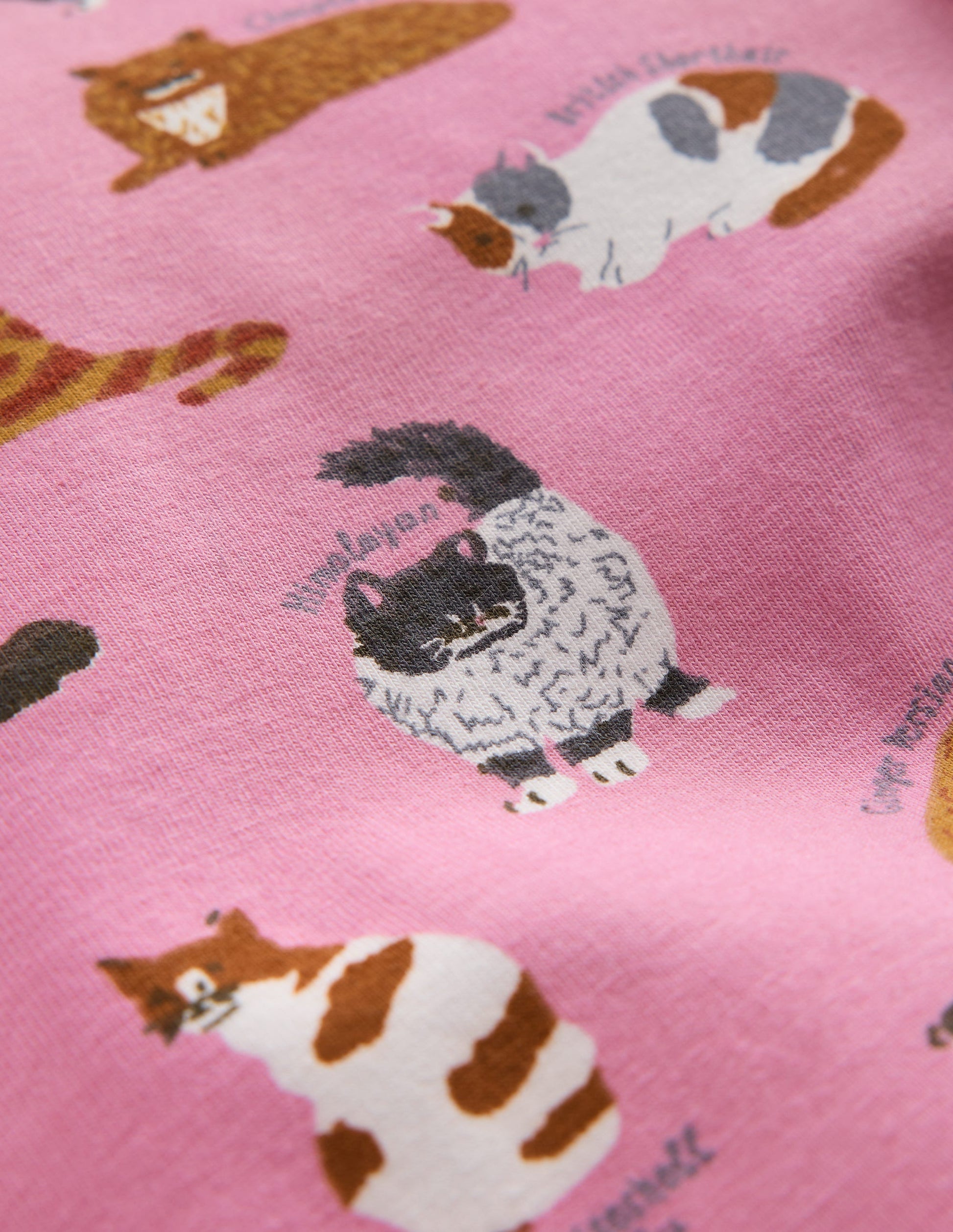 Fun Leggings-Formica Pink Cats-3
