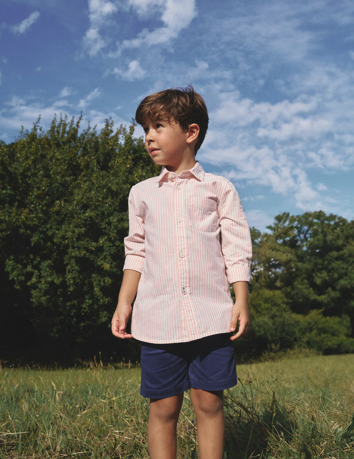 Cotton Shirt-French Pink/ Ivory Stripe - Image 4