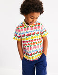 Cotton Linen Shirt-Fruit Stripe