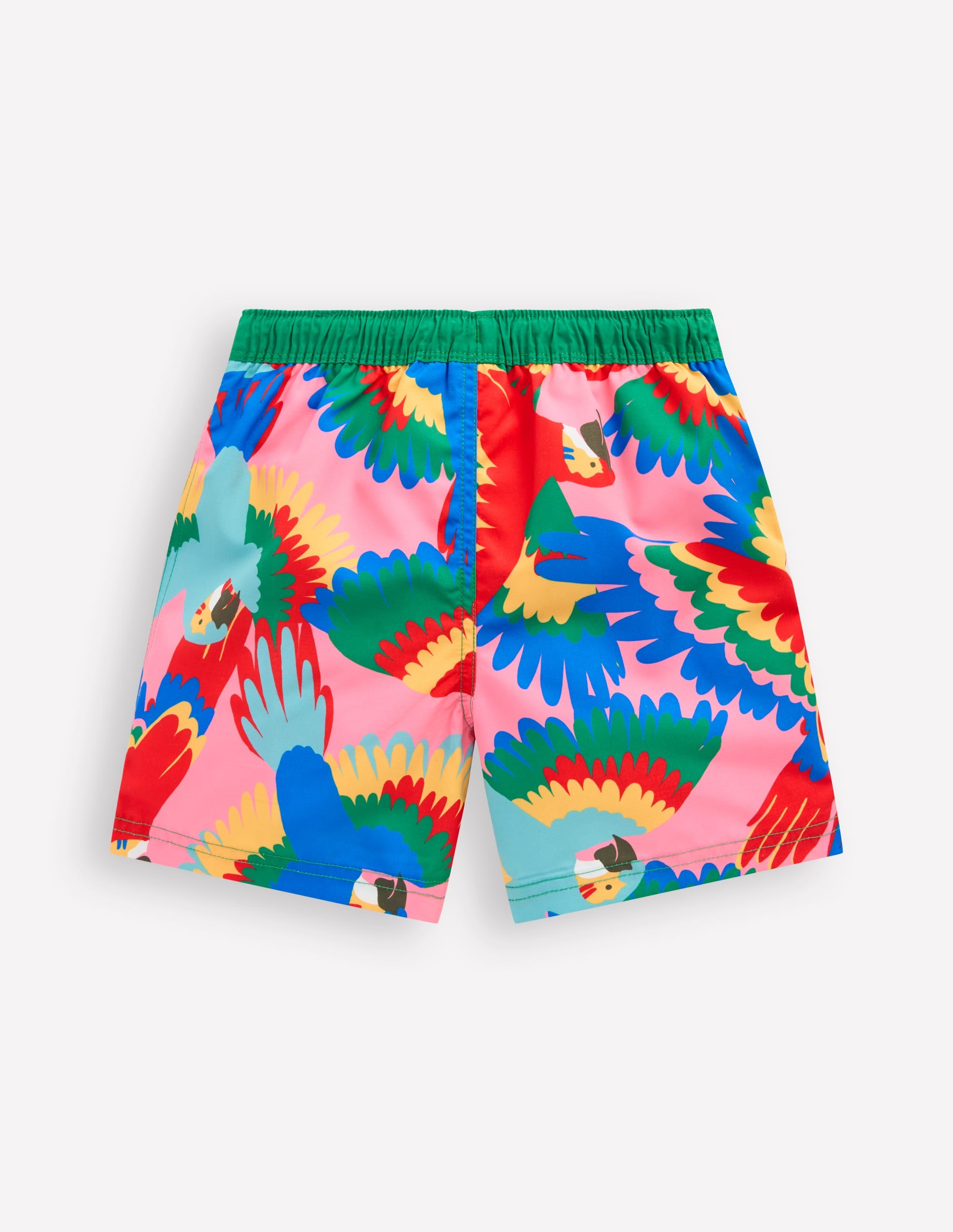 Swim Shorts-Multi Rainbow Parrot - Image 2
