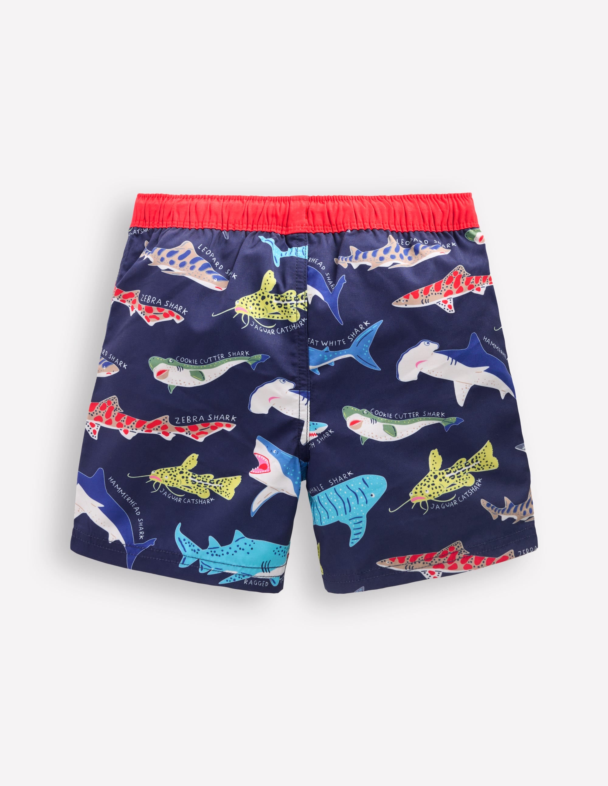 Swim Shorts-College Navy Sharks - Image 2