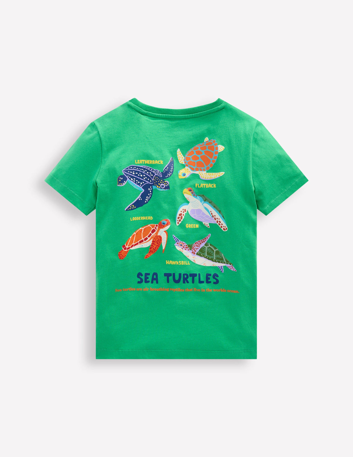 Front & Back Printed T-shirt-Aquamarine Blue Turtles - Image 2