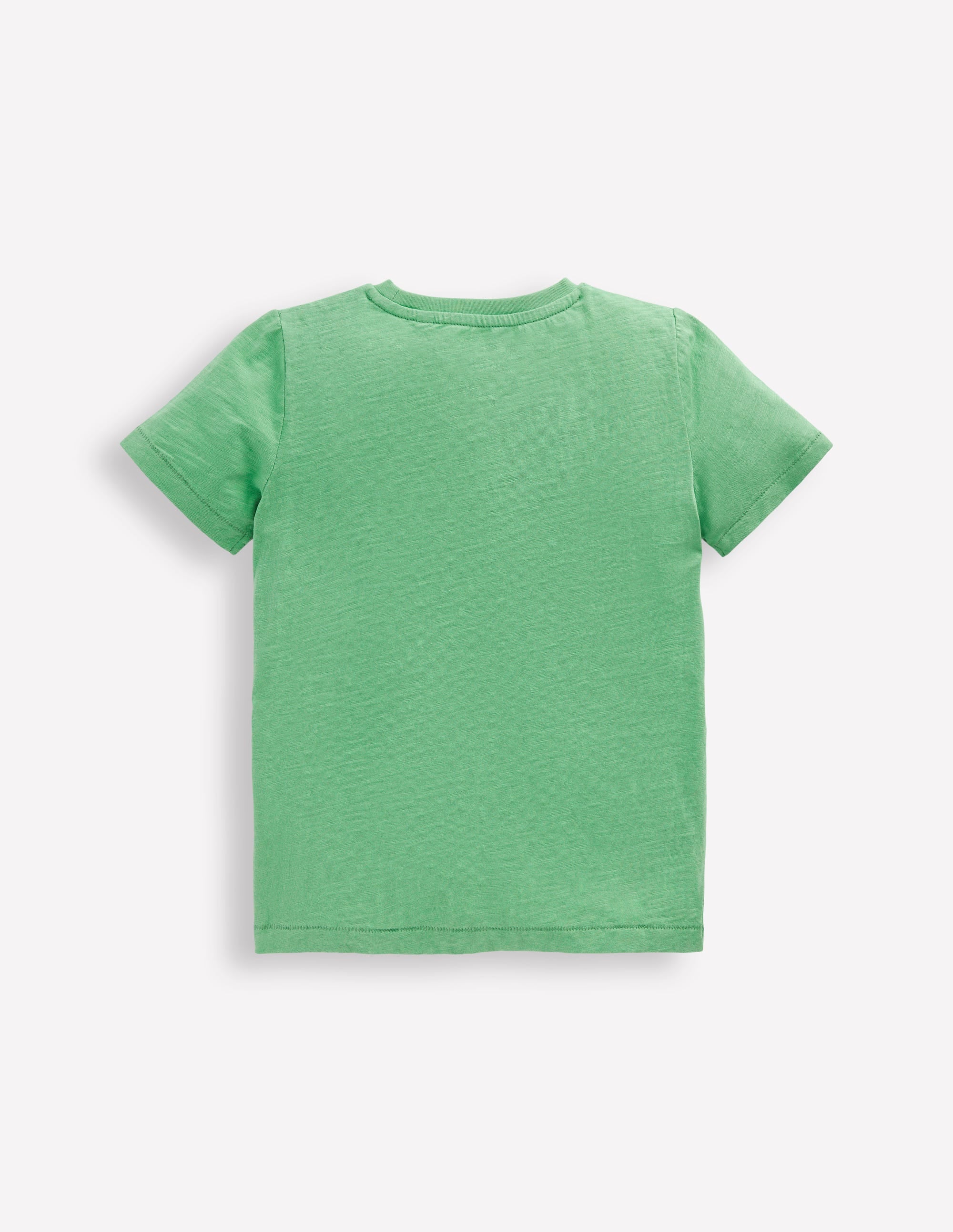 Everyday Short Sleeve T-Shirt-Aloe Green - Image 2