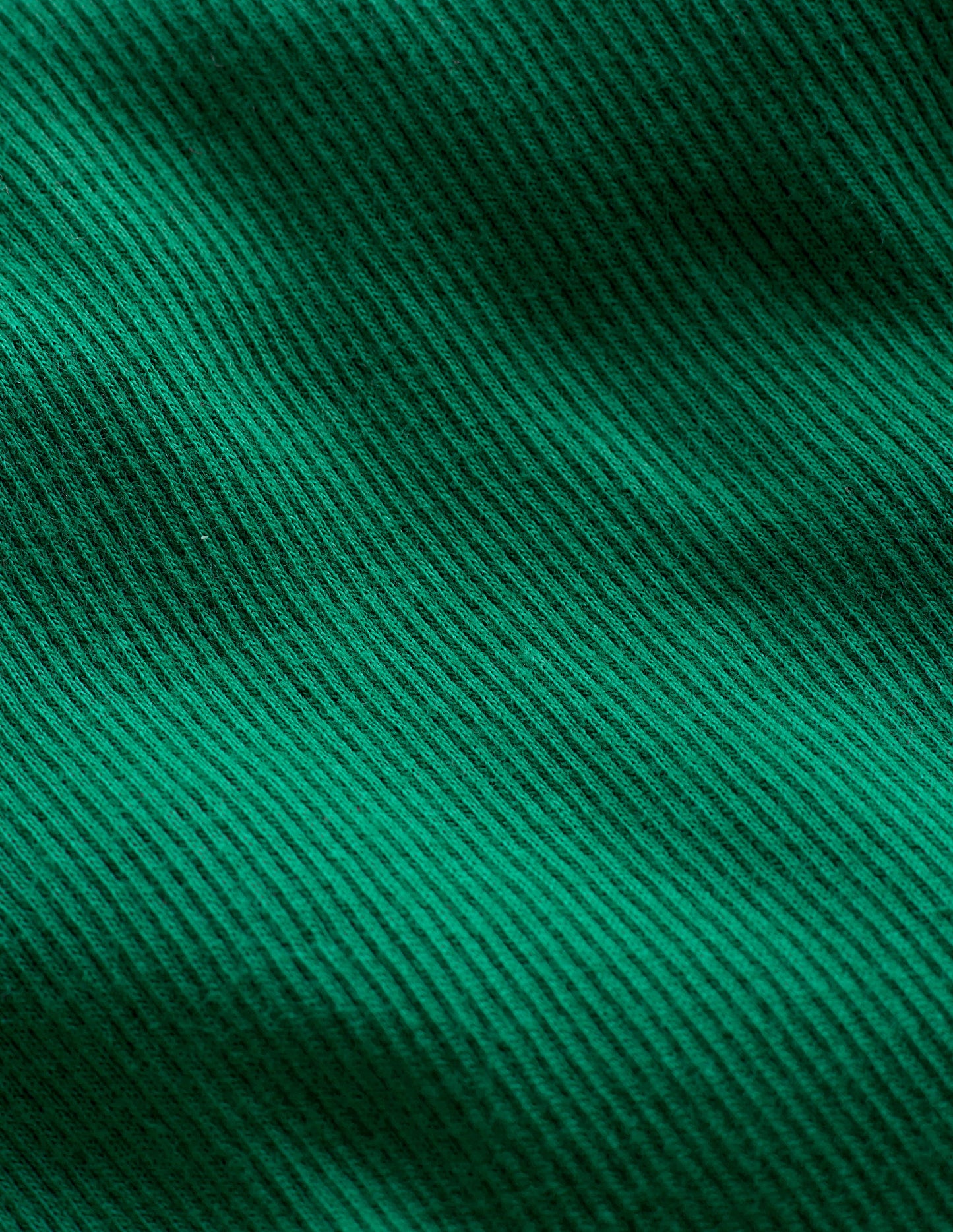 Ribbed Long Sleeve T-shirt-Shady Green