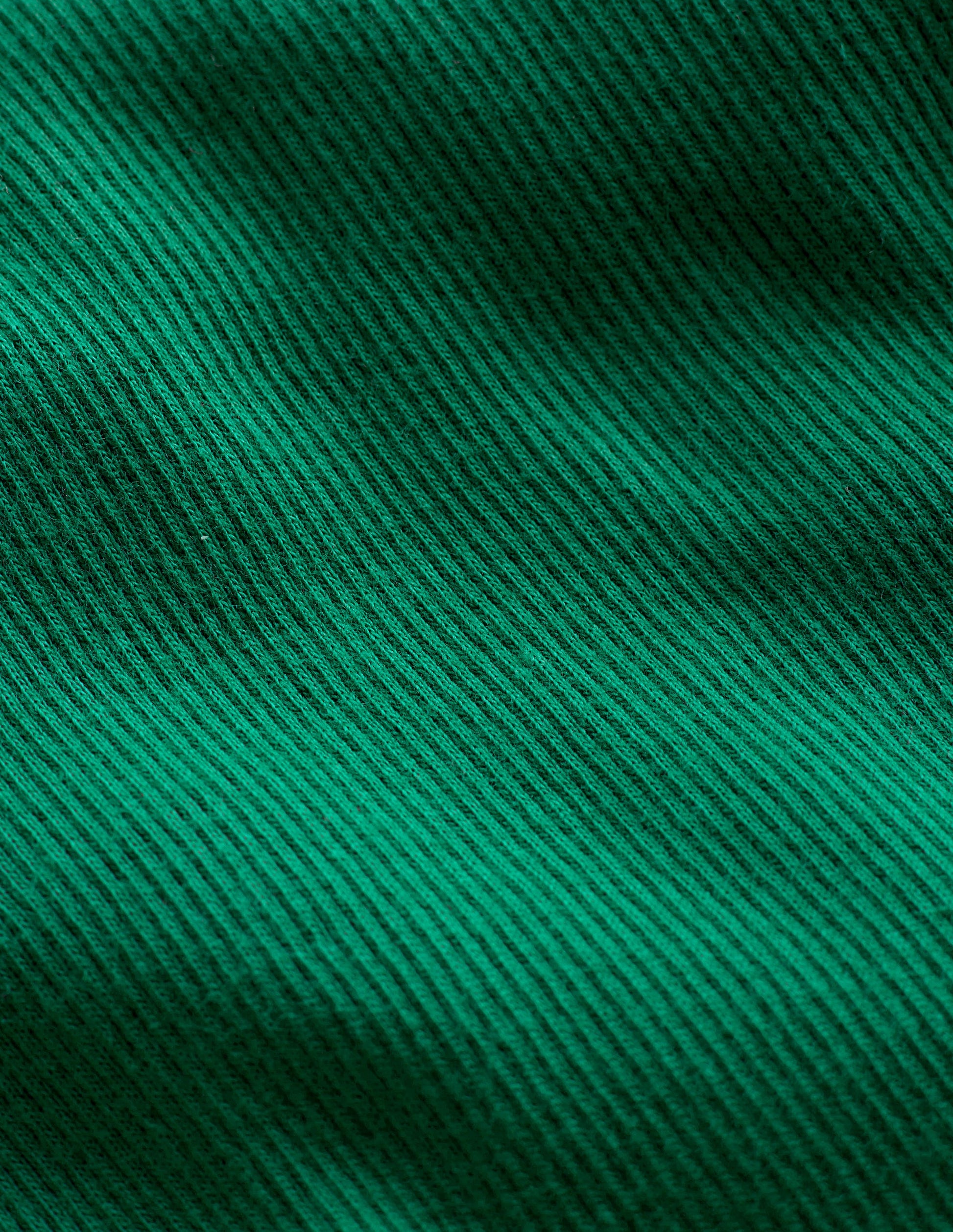 Ribbed Long Sleeve T-shirt-Shady Green-3