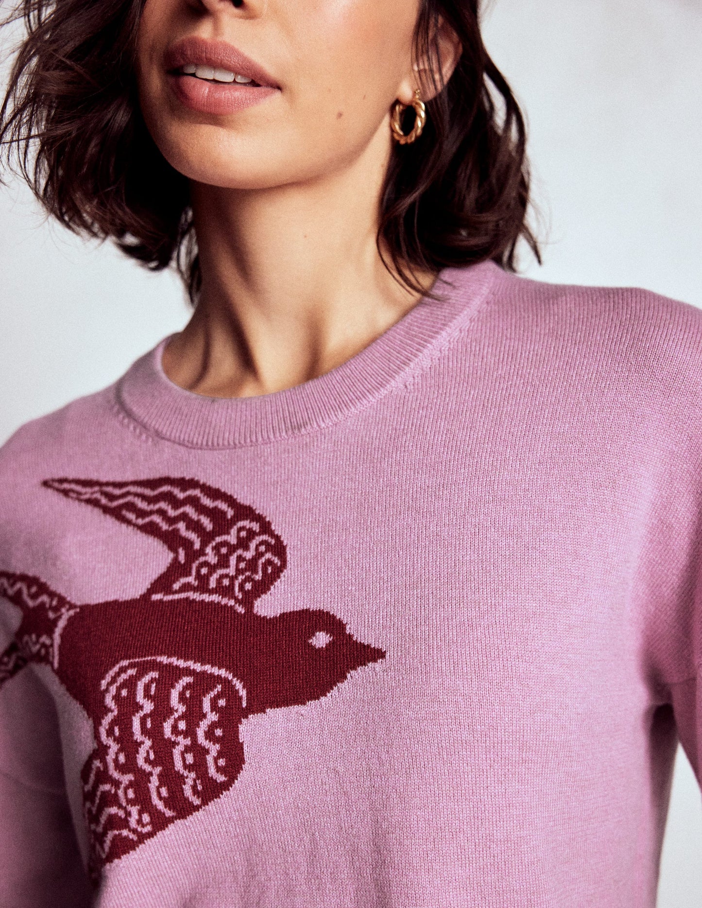 Natasha Novelty Jumper-Swooping Swallow