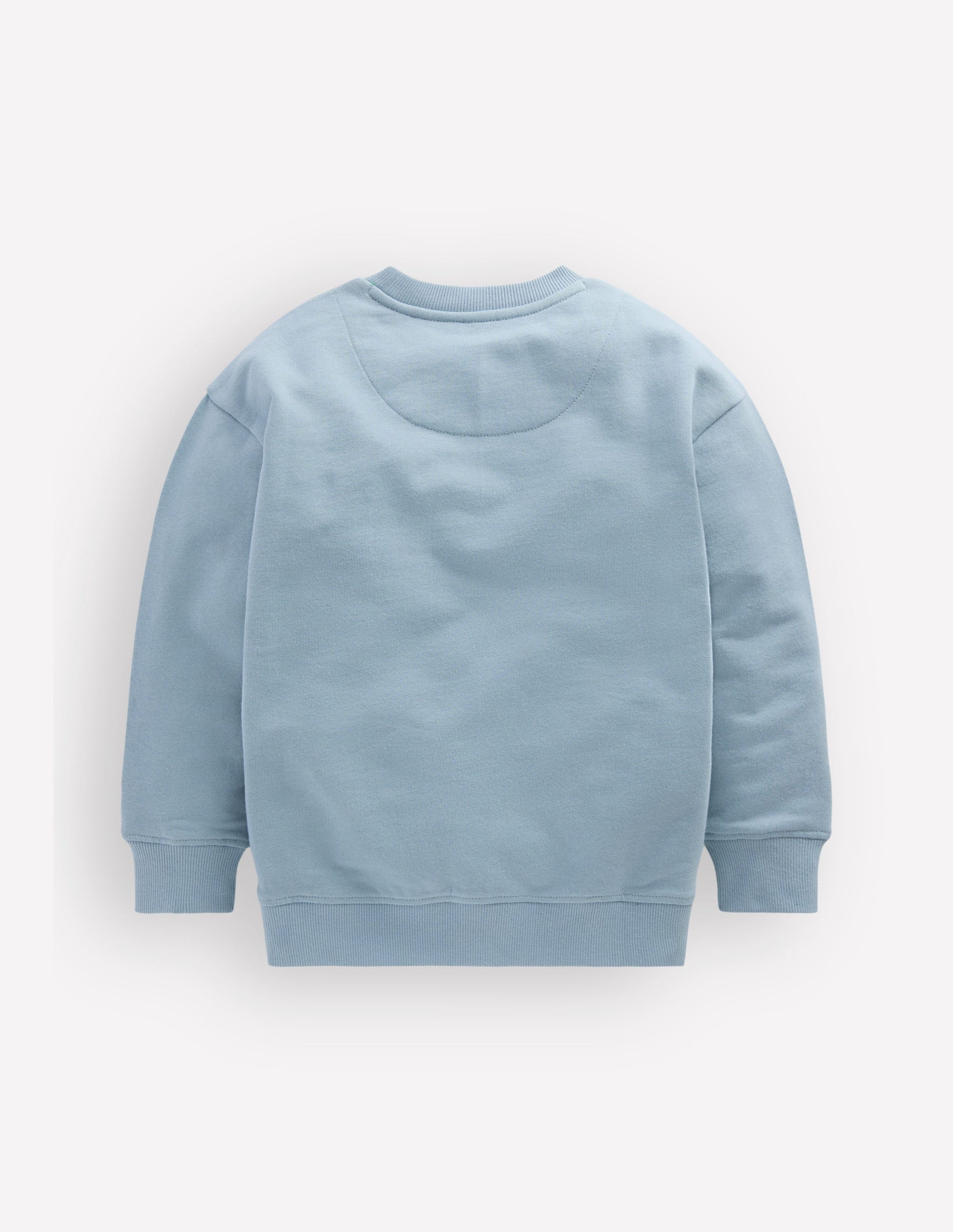 Fun Sweatshirt-Seamist Blue Chillies-2