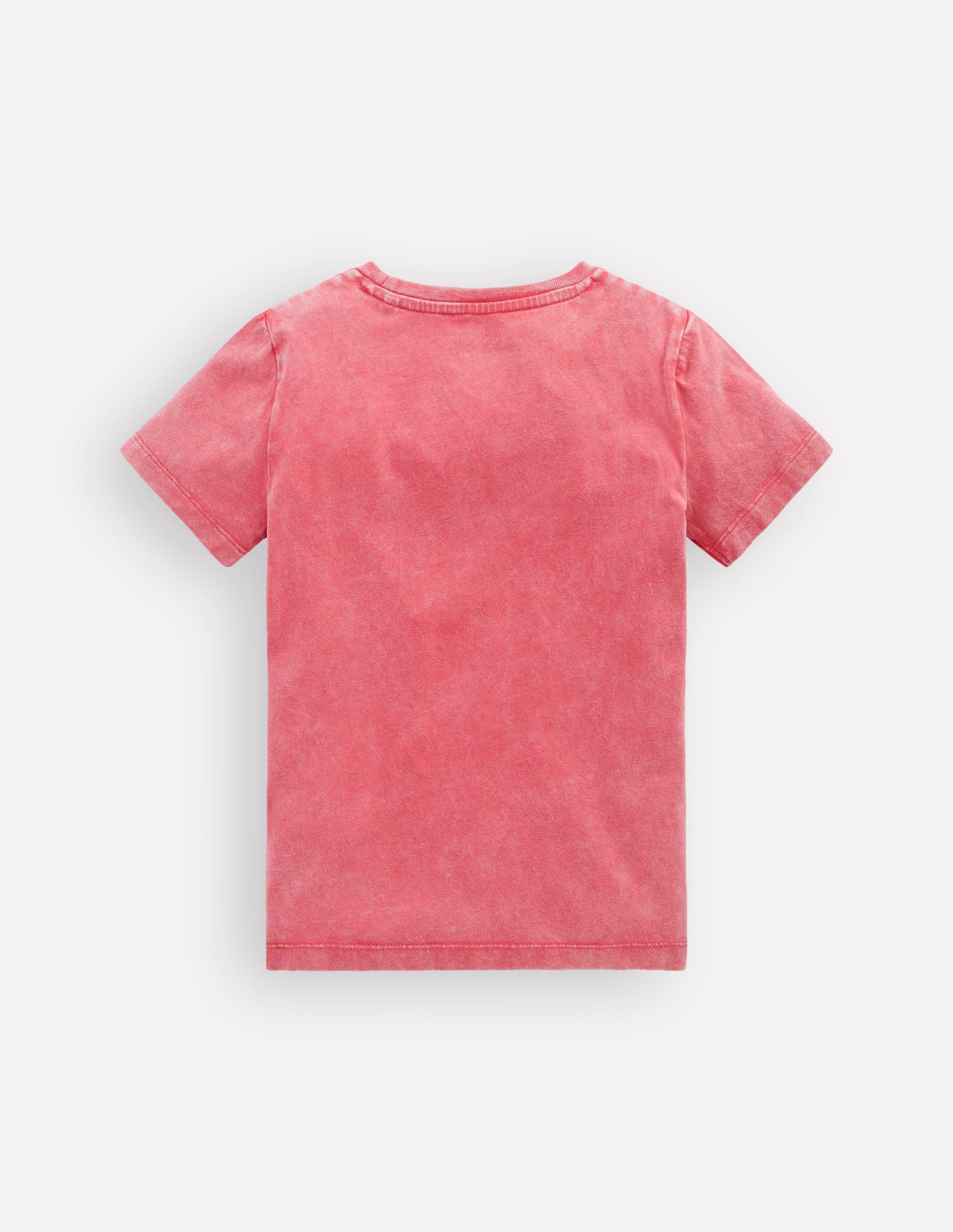 Vintage Wash Graphic T-shirt-Red Dino-3